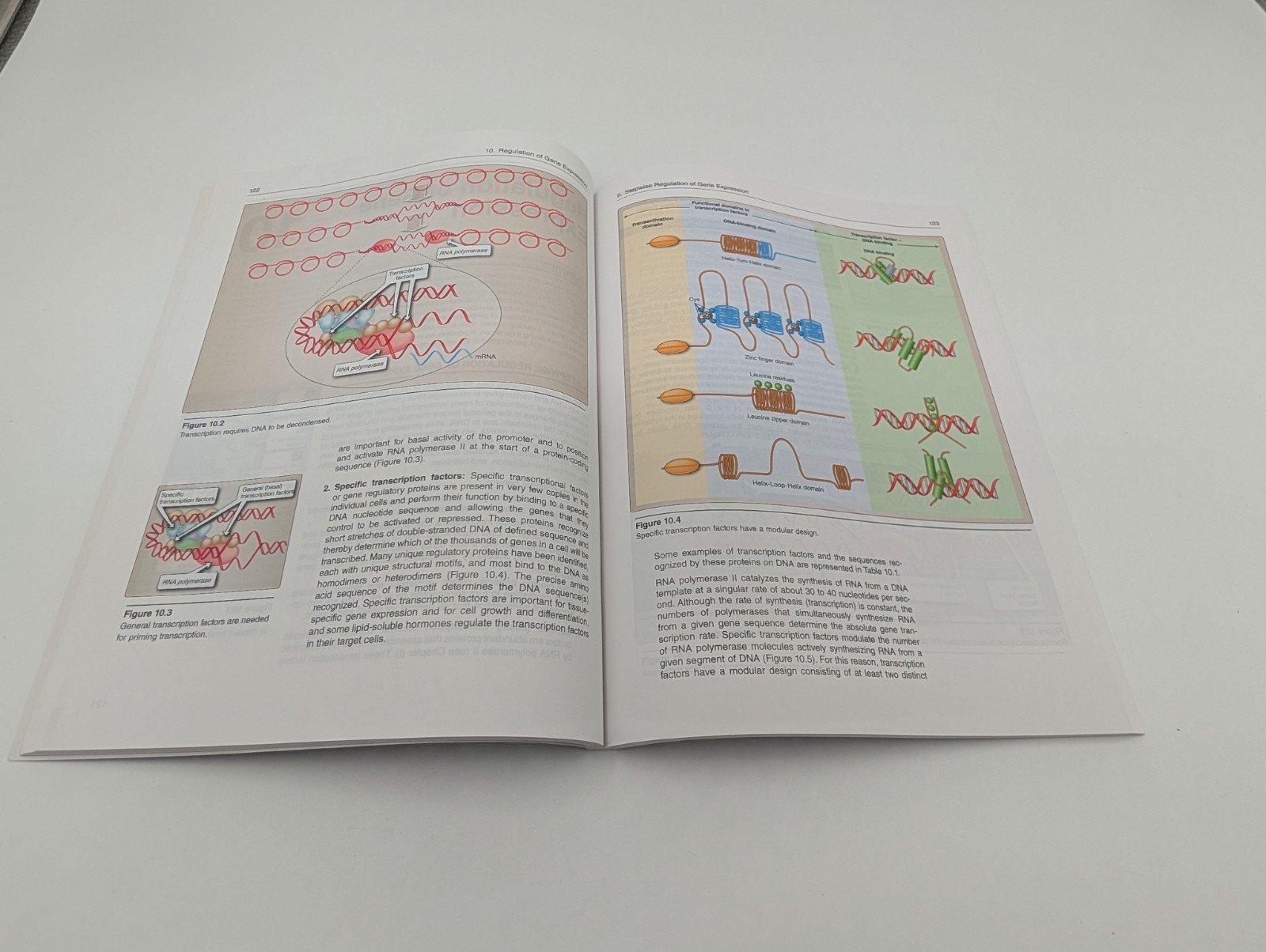 Lippincott Illustrated Reviews: Cell and Molecular Biology – THIRD EDITION