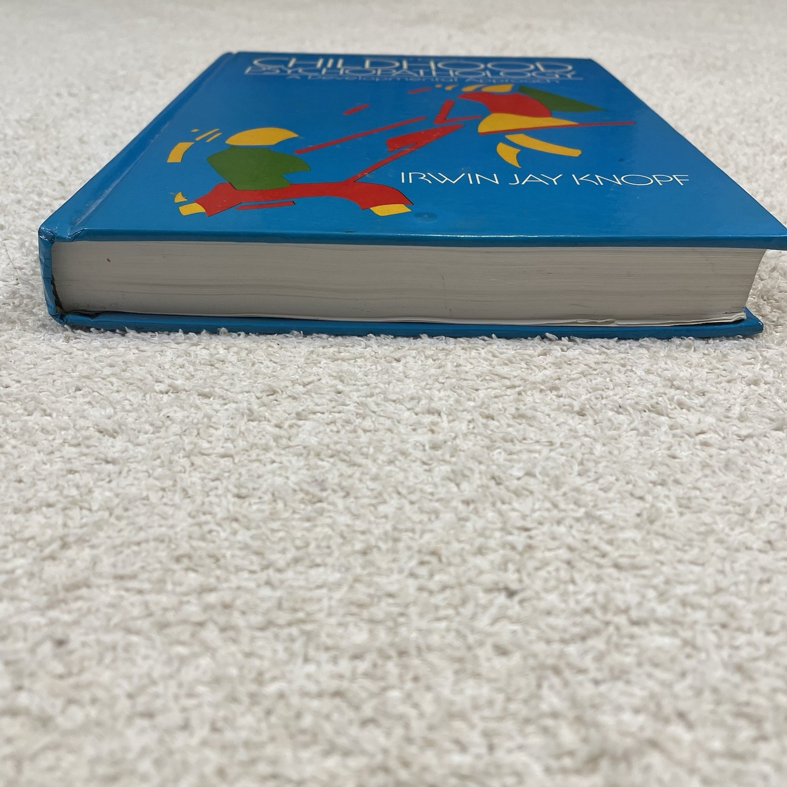 Childhood Psychopathology 2nd Edition
