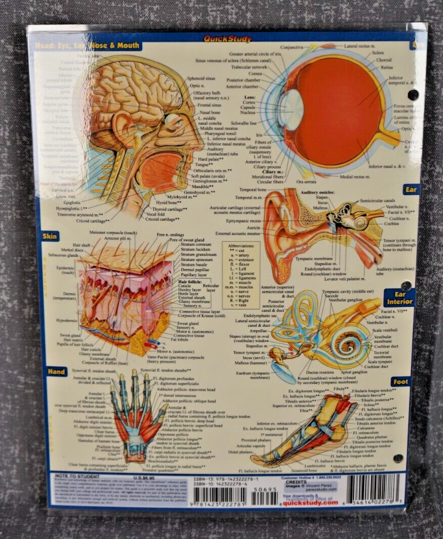 NEW QuickStudy | Anatomy Laminated Tri-Fold Study Guide ~ FAST FREE SHIPPING ! ~