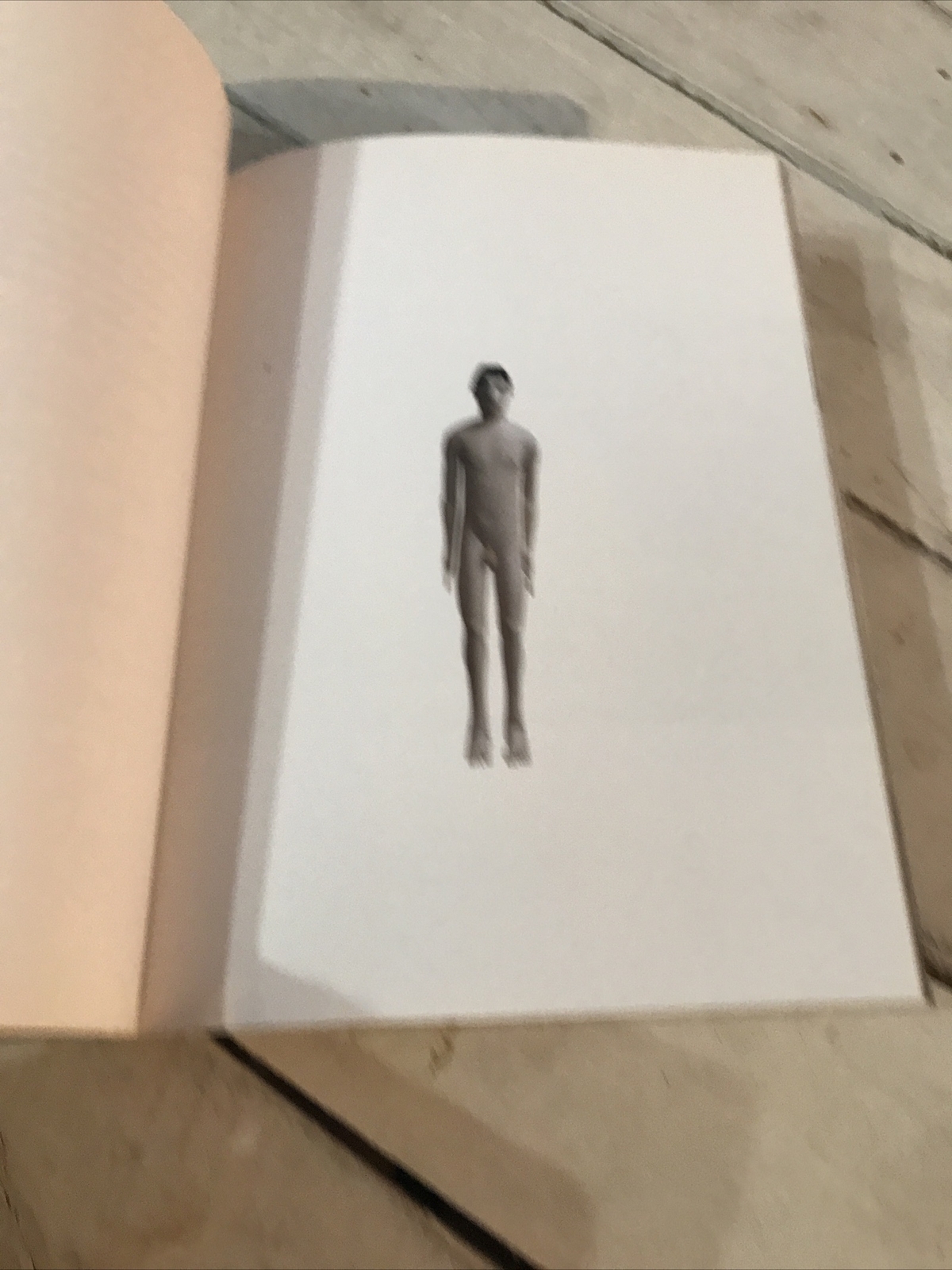 Pawel Althamer Kunsthalle Basel Contemporary Art Exhibition Catalog