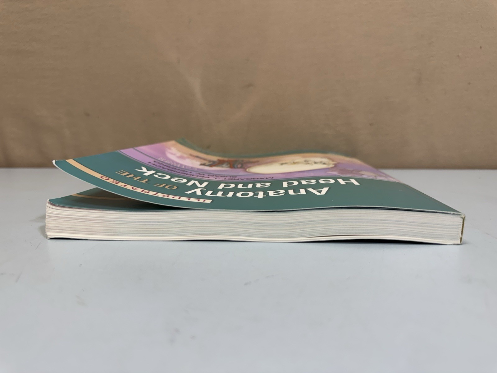 Illustrated Anatomy of the Head and Neck by Margaret J Fehrenbach Susan W Herrin