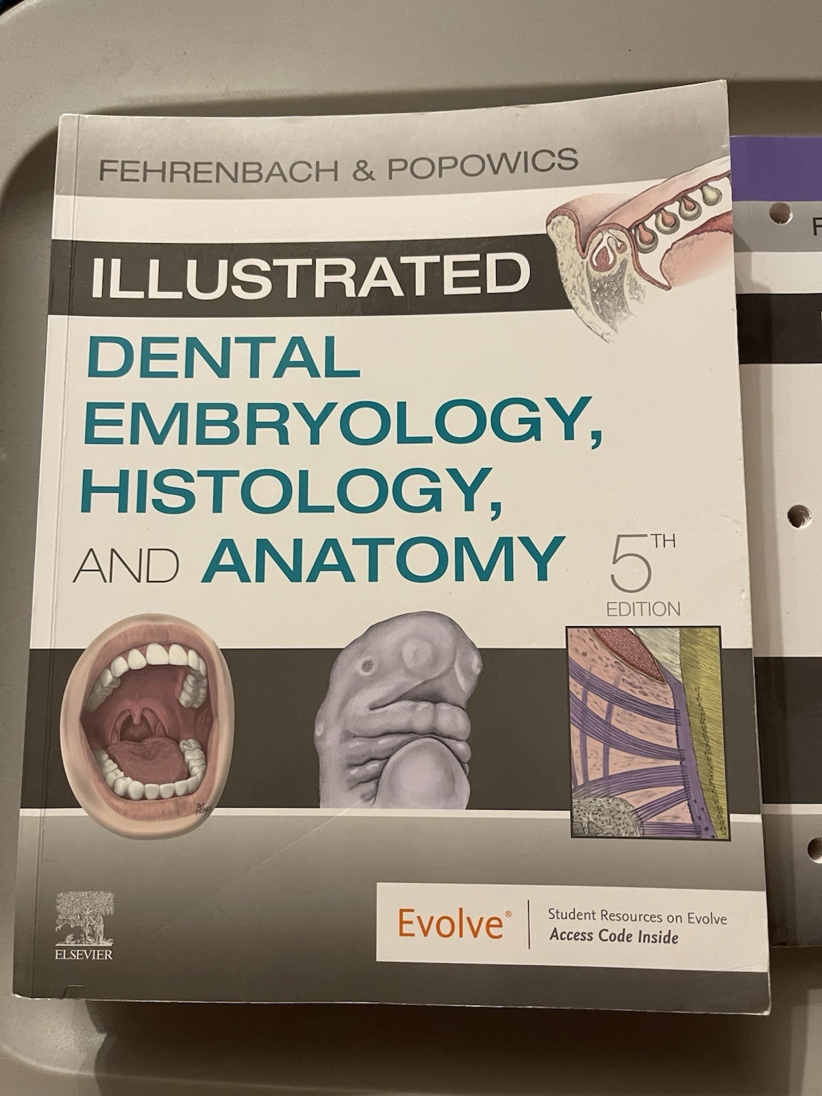 Illustrated Dental Embryology, Histology, and Anatomy by Margaret J. Fehrenbach