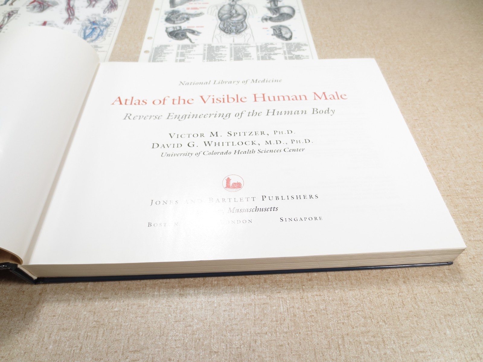 National Library of Medicine Atlas of The Visible Human Male Victor Spitzer