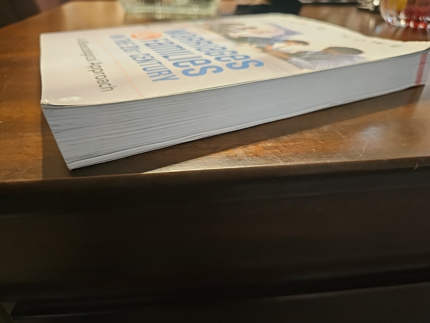 Marriages and Families in the 21st Century : A Bioecological Approach by…