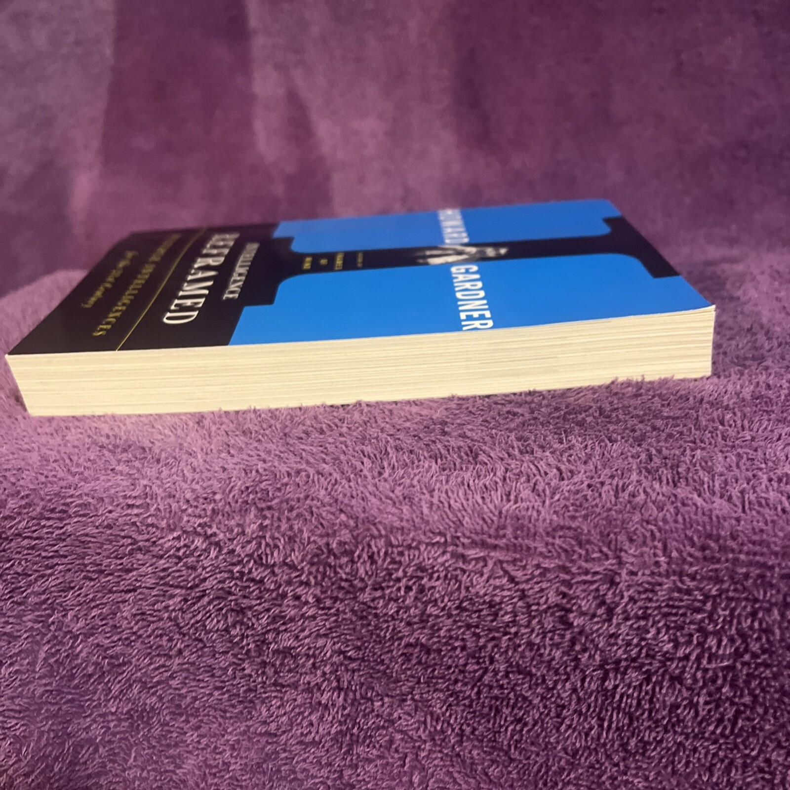 Intelligence Reframed: Multiple In- paperback, 0465026117, Howard E Gardner, new