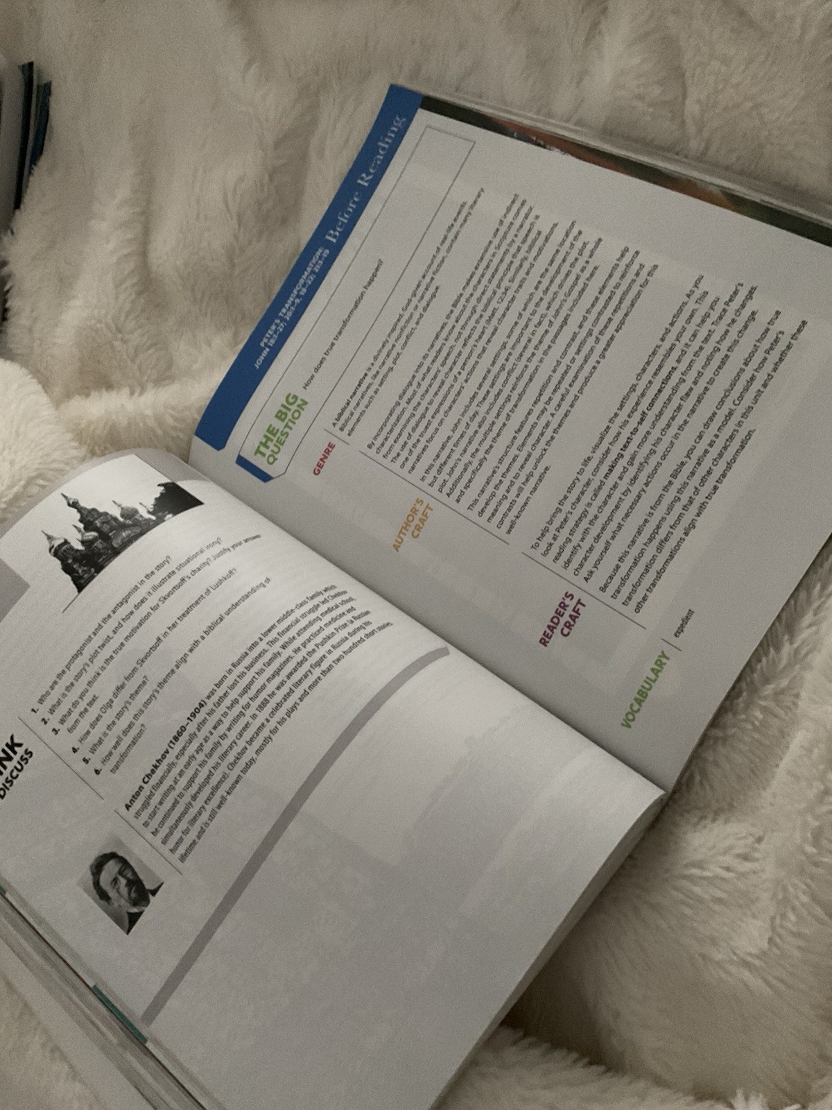 BJU Press Literature Textbook Illustrated English Book by Bju Staff