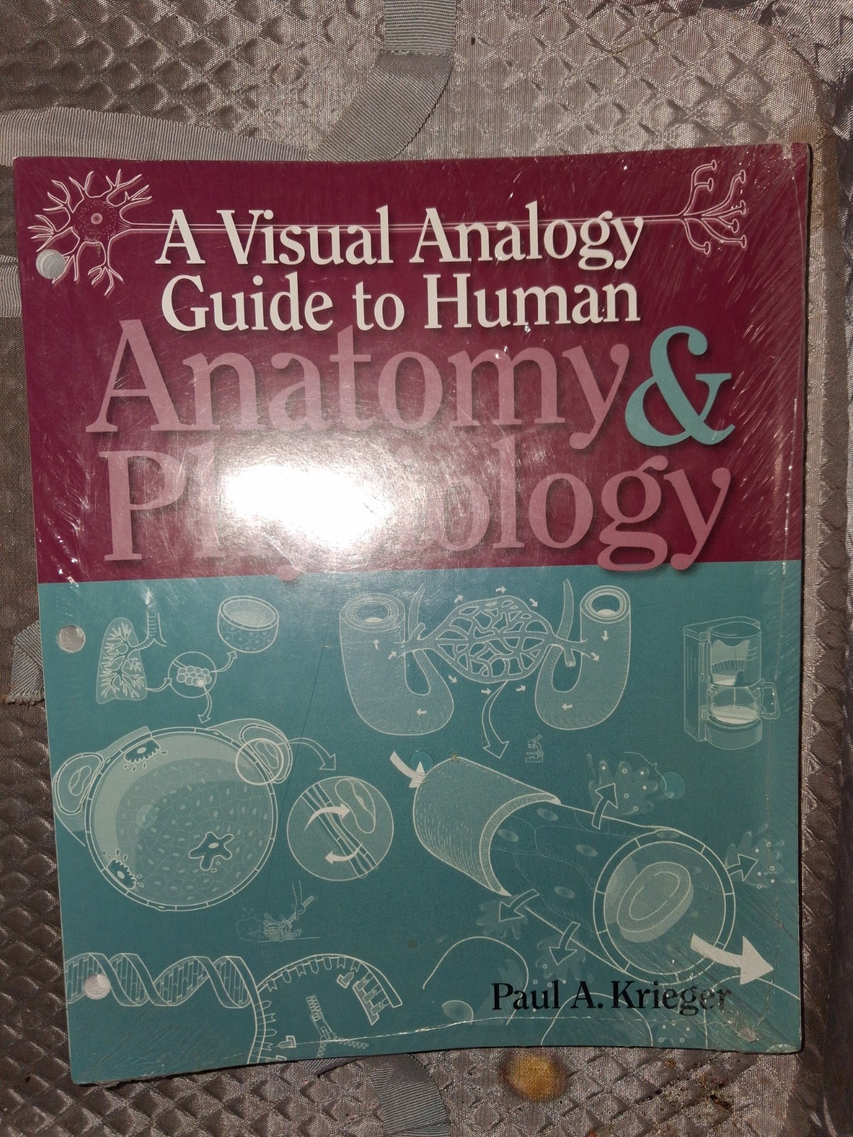Visual Analogy Guide to Anatomy and Physiology by Paul A. Krieger (09, Ringbound