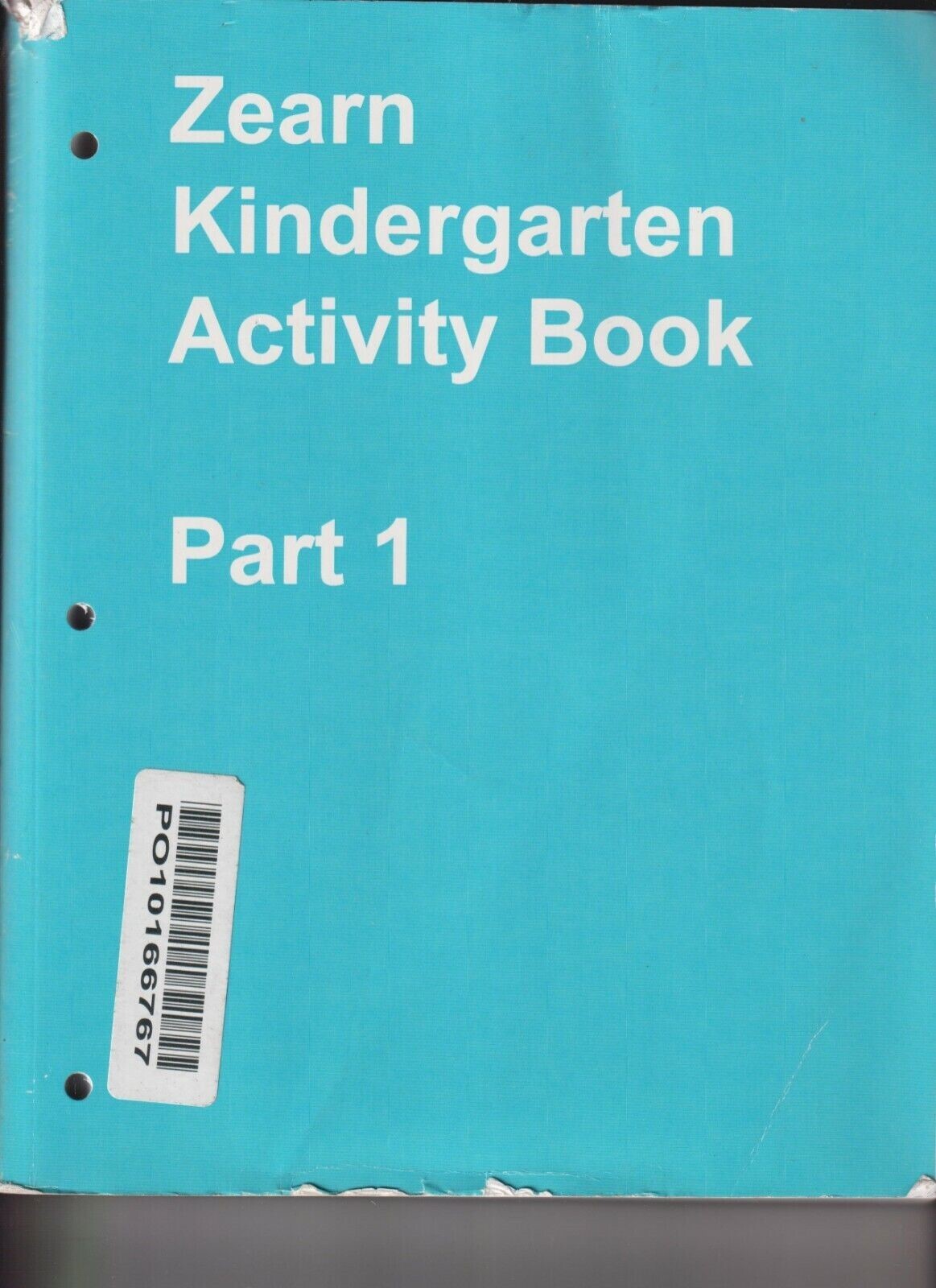 ZEARN Kindergarten Activity Book PART 1 45303 – 250 + PAGES! UNUSED