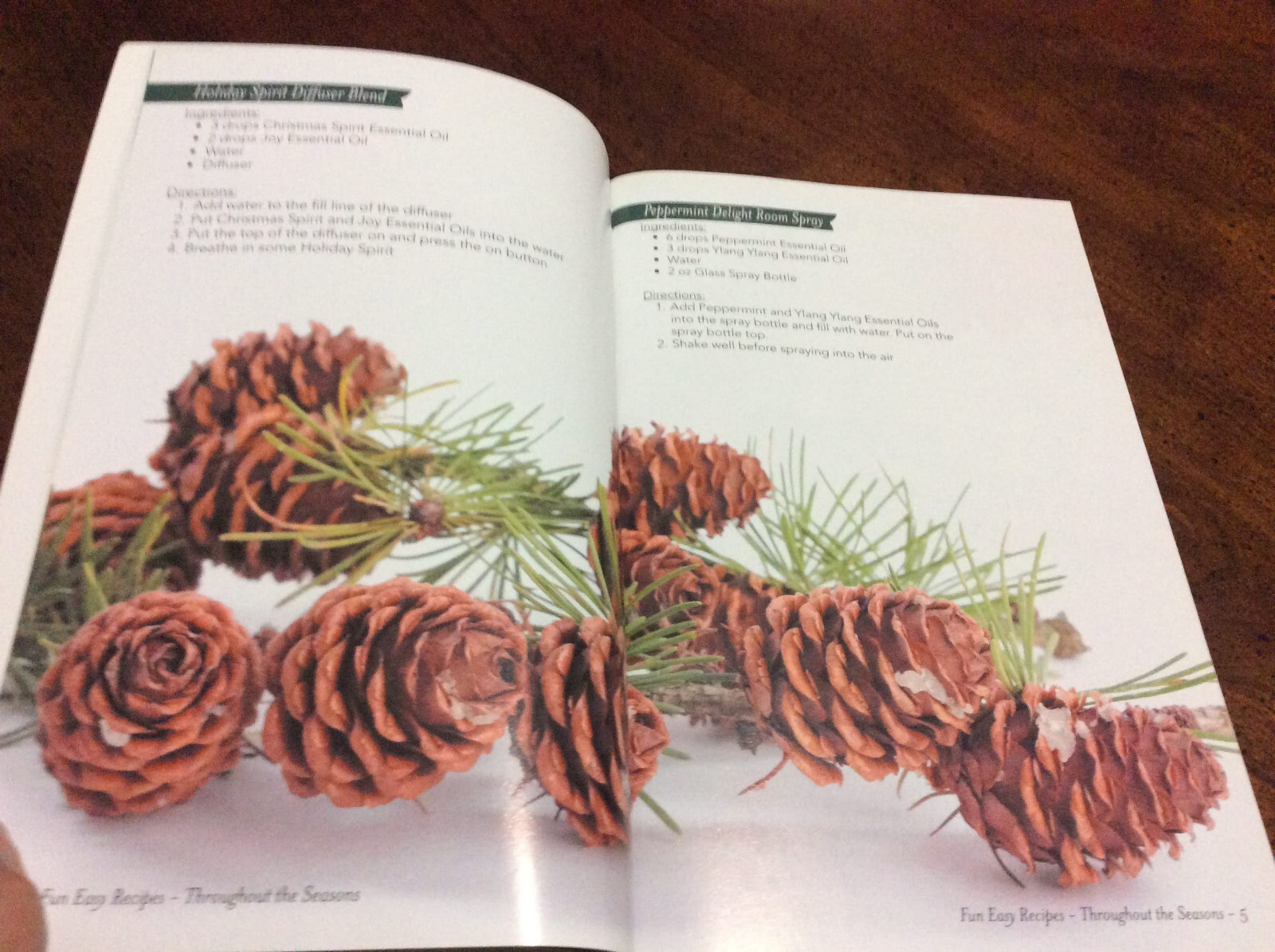 …Fun Easy Recipes Throughout the Seasons by Life Science Publishers (2017 PB)