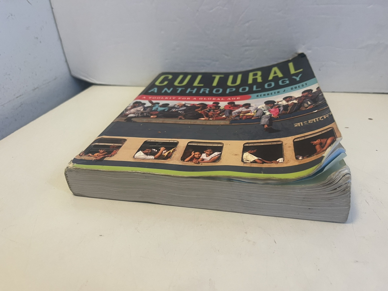Cultural Anthropology : A Toolkit for a Global Age by Kenneth J. Guest (2013,…