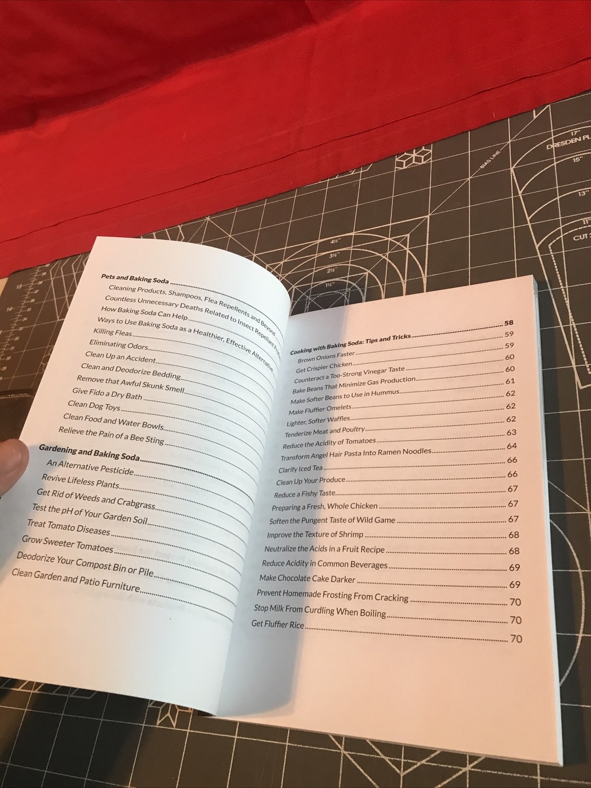 2018 1st Edition The Baking Soda Secret Alternative Daily