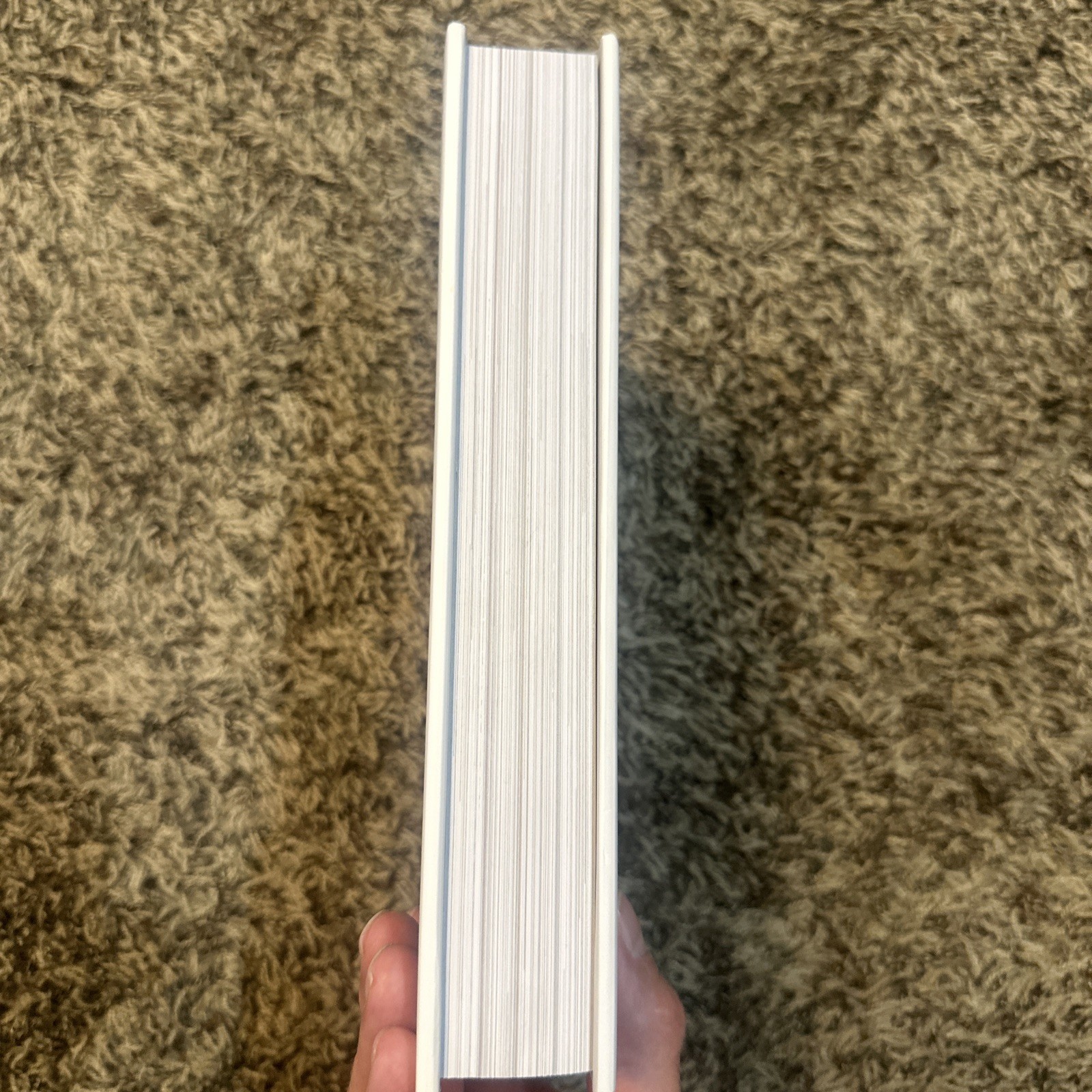 Alabaster Co. The Gospels KJV Hardcover Matthew Mark Luke John Bible King James