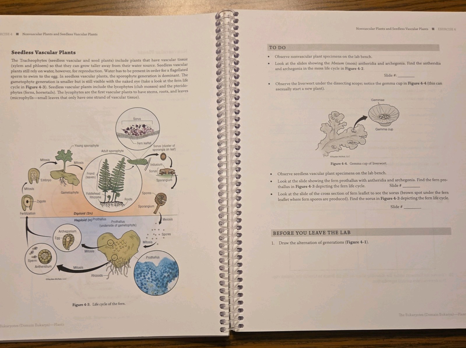 BSC 2011L General Biology II Lab. Manual 2nd Ed. for Indian River State College