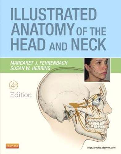Illustrated Anatomy of the Head and Neck by MS Fehrenbach, Margaret J: Used