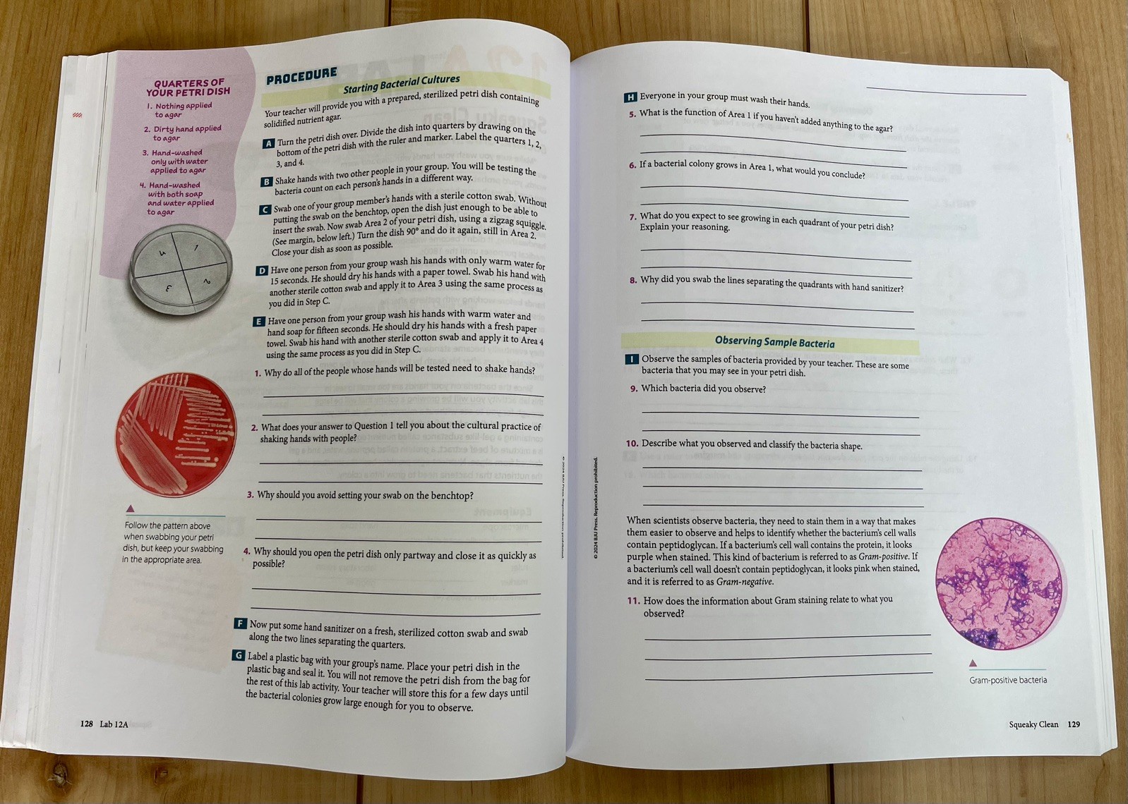 BJU Biology, Student Textbook and Lab Manual, 6th edition. Very Good Condition