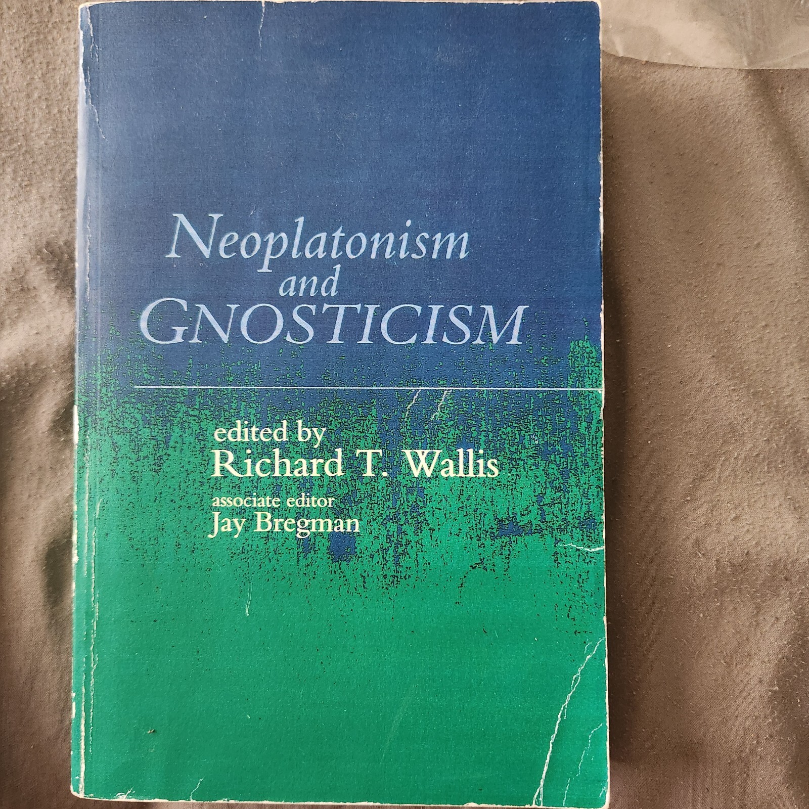 Neoplatonism and Gnosticism (Neoplatinism Vol 6) by Richard T. Wallis, Editor