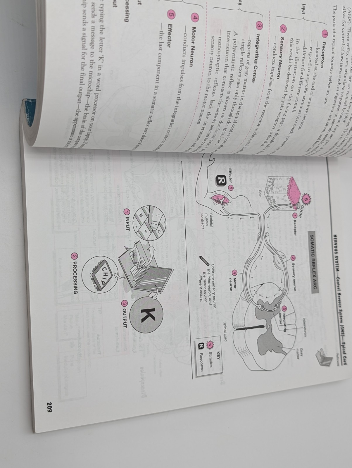 Visual Analogy Guide to Anatomy and Physiology by Paul A. Krieger (2009,…