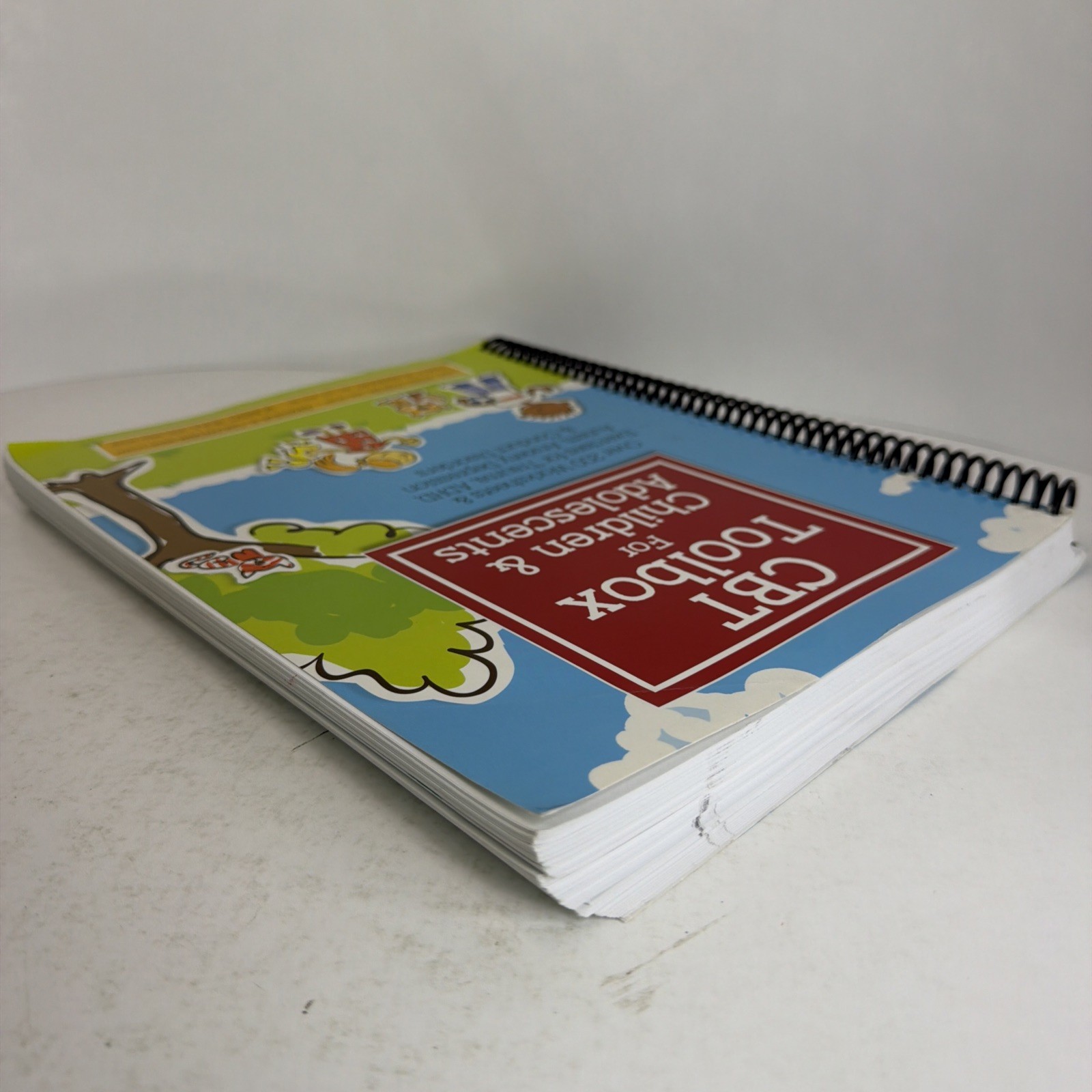 CBT Toolbox for Children & Adolescents: Over 220 Worksheets & Exercises 2017