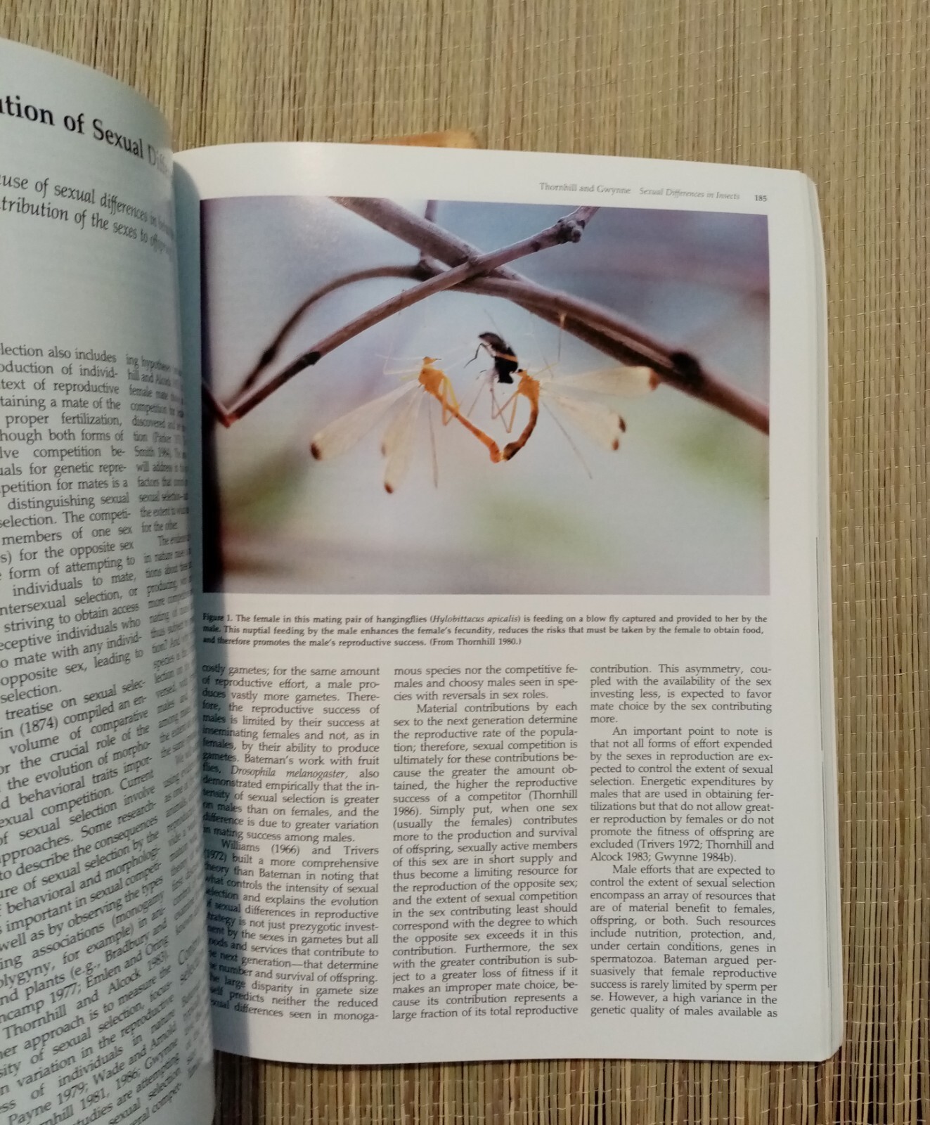 Exploring Animal Behaviour Readings from American Scientist 300 Pages