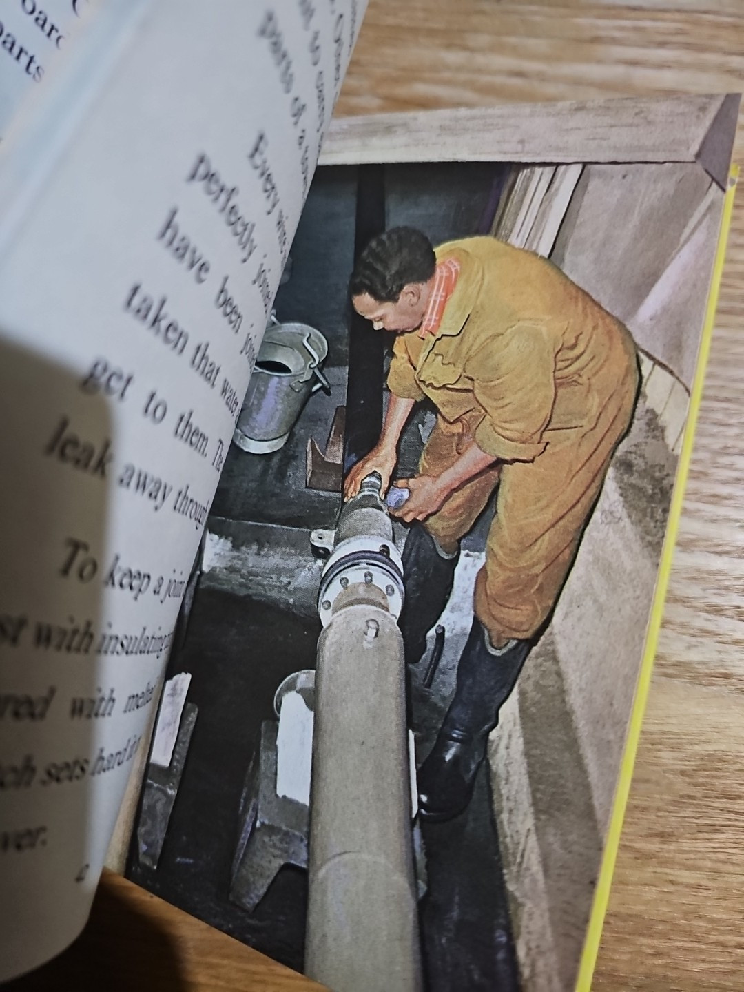 The Public Services: Electricity (Ladybird Books) : I. & J. Havenhand 15p Vgc M5
