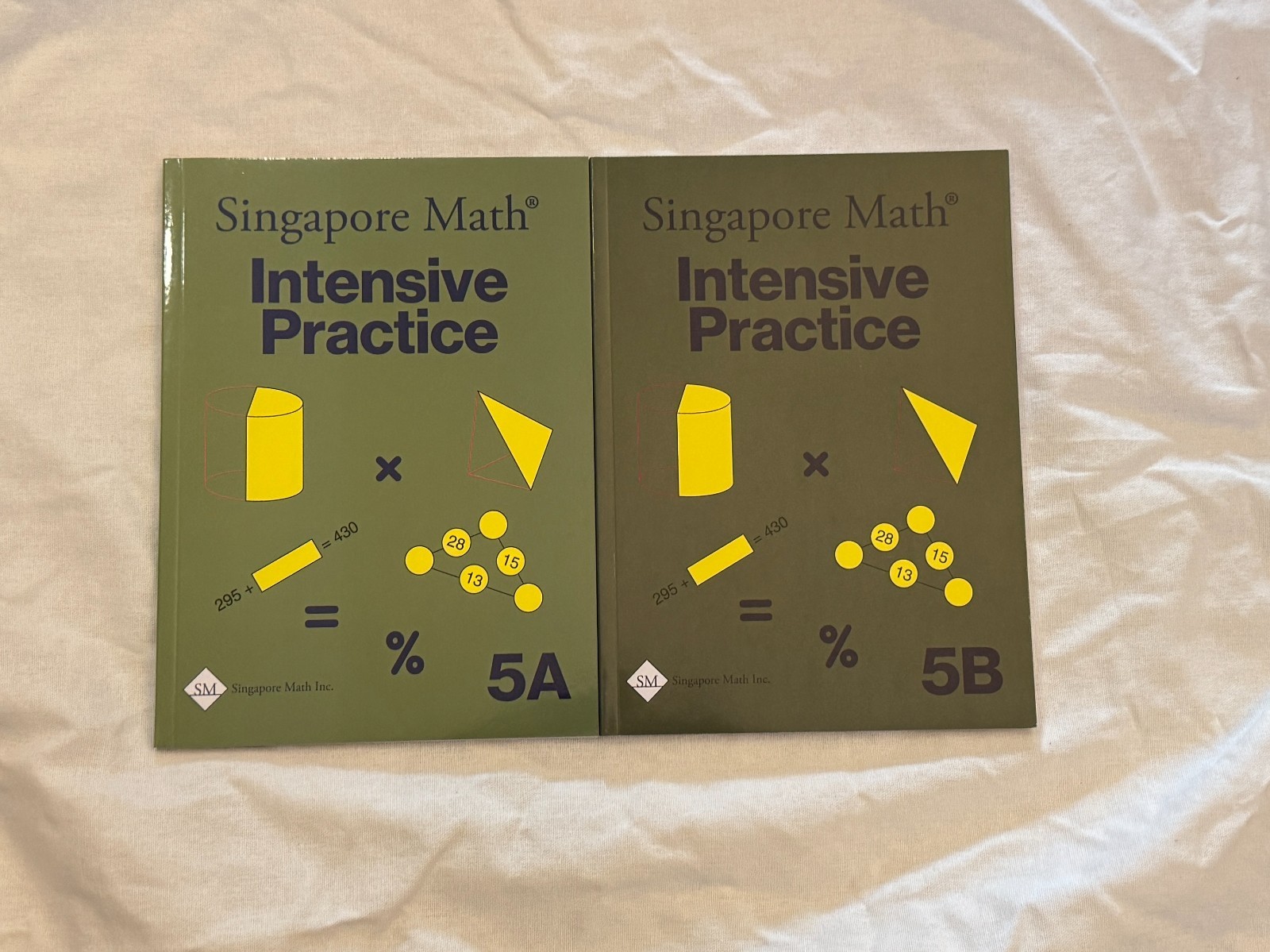 Singapore Math Intensive Practice 5A and 5B Lot Free Shipping