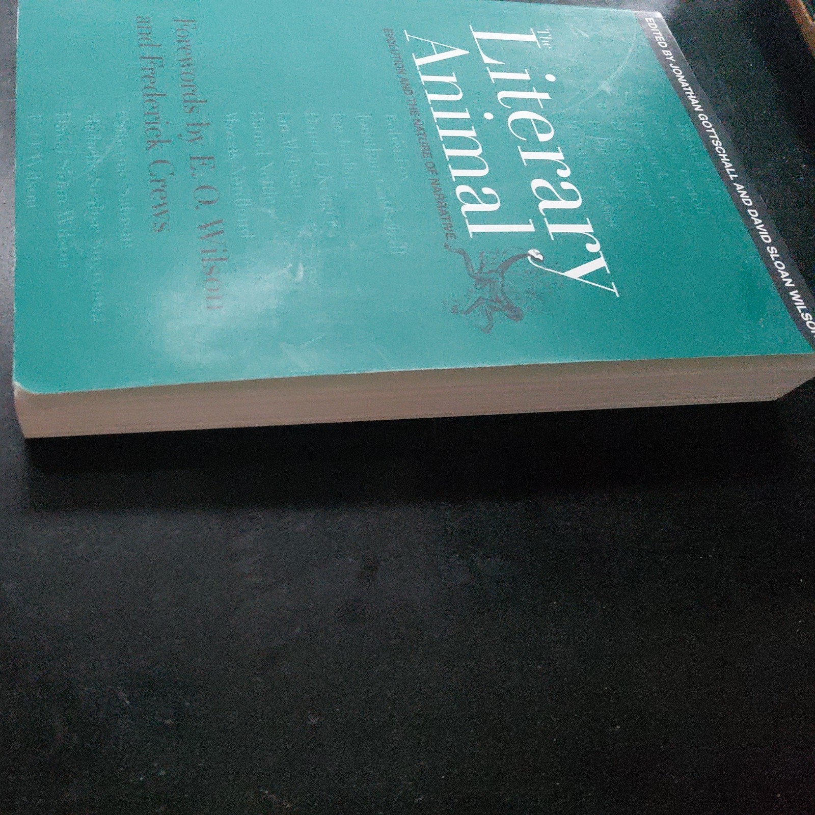 Rethinking Theory Ser.: Literary Animal : Evolution and the Nature of Narrative