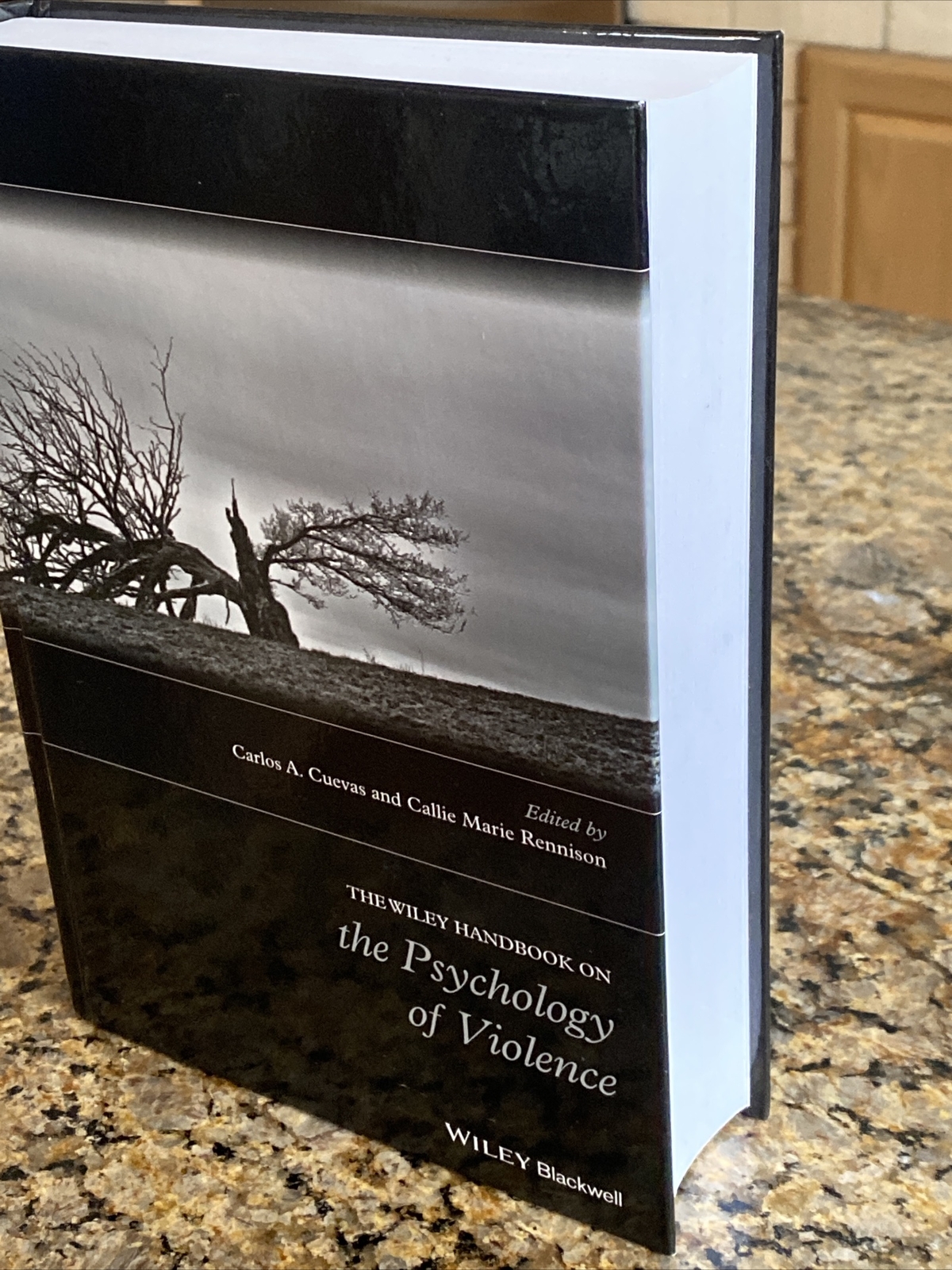 The Wiley Handbook on the Psychology of Violence – Hardcover – Very Good