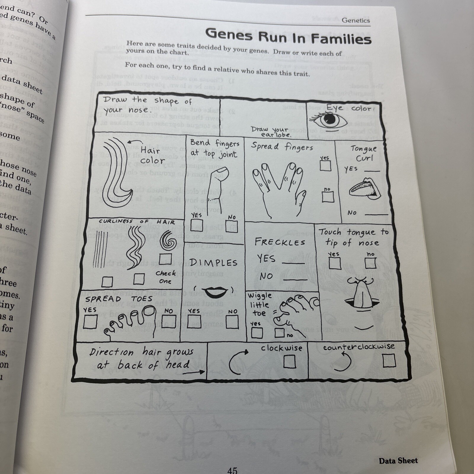 202 Science Investigations : Exciting Adventures in Earth, Life, and Physical…