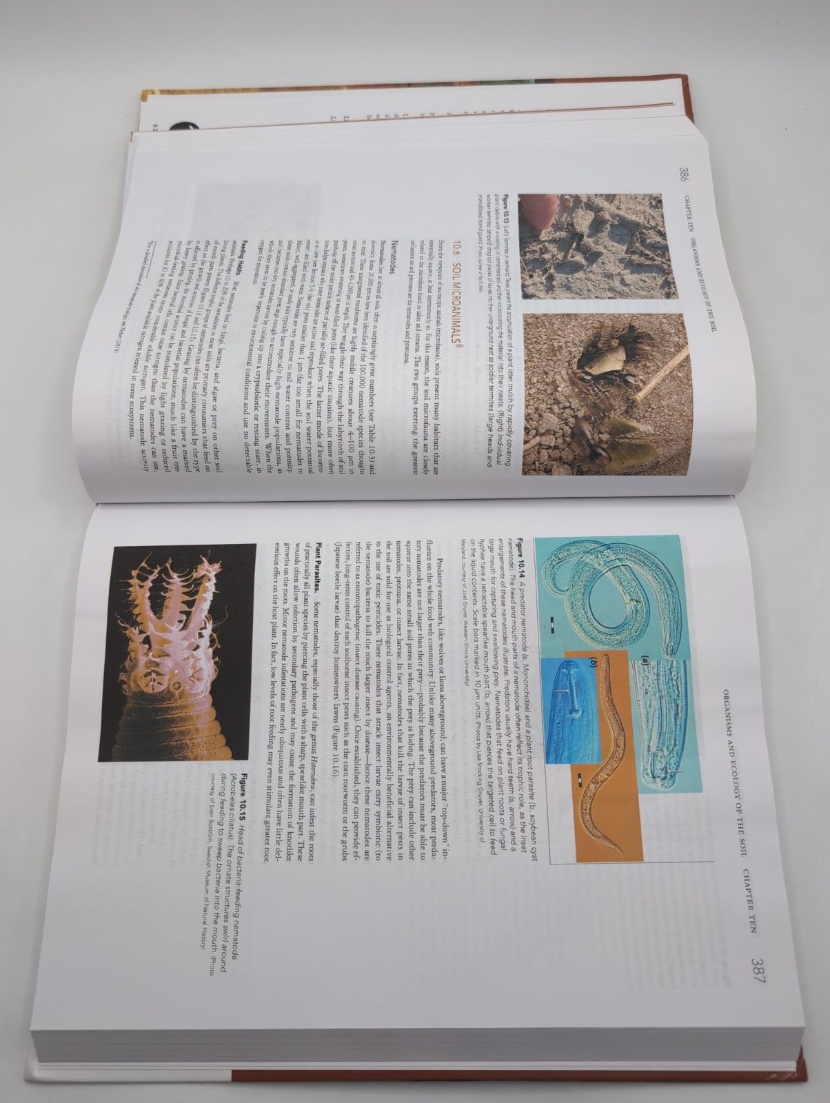 Elements of the Nature and Properties of Soils by Ray Weil and Nyle Brady (2018,