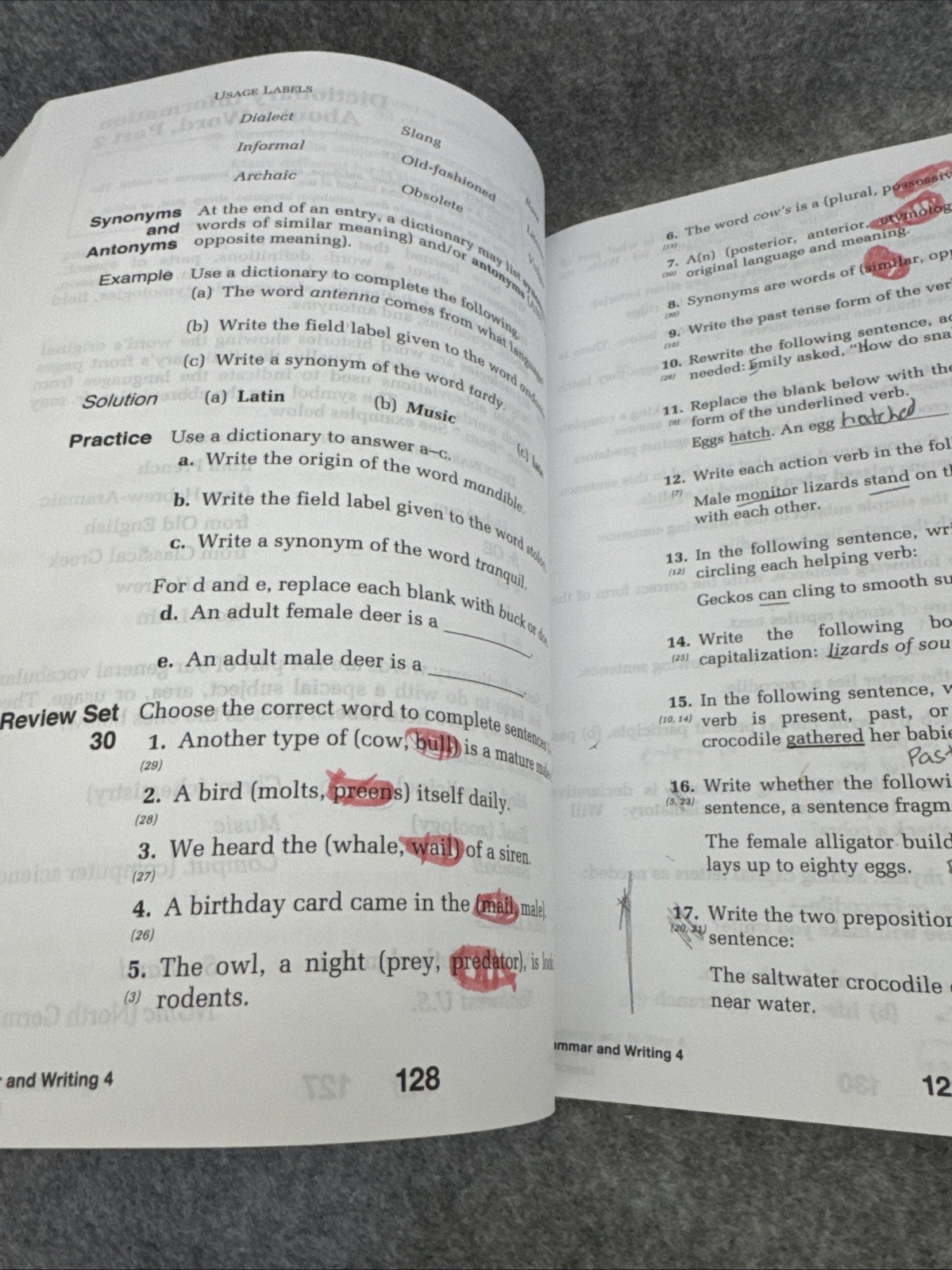 Grammar & Writing Ser.: Saxon Grammar & Writing Grade 4 Student Textbook by Text