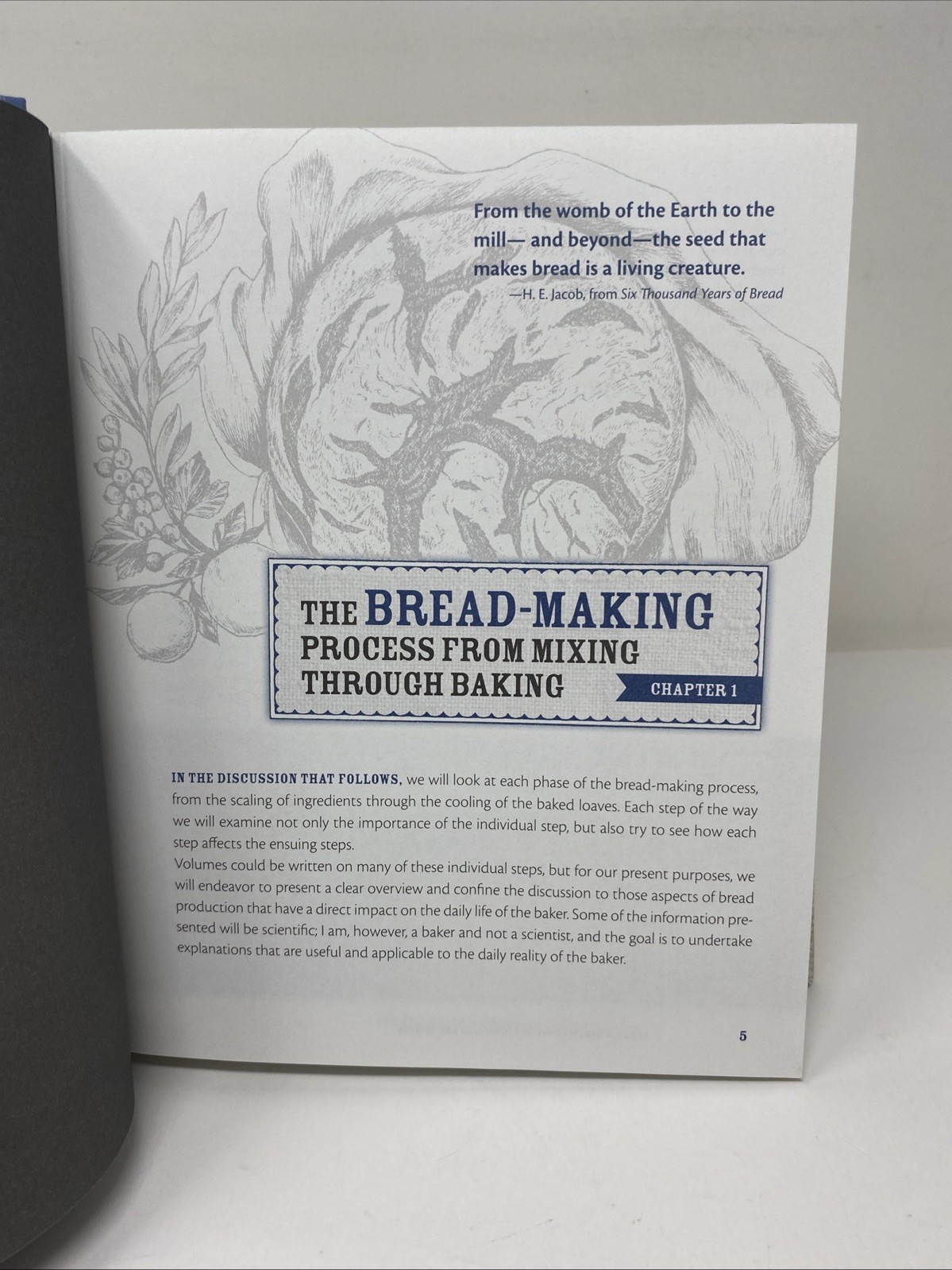Bread : A Baker’s Book of Techniques and Recipes by Jeffrey Hamelman (2013)