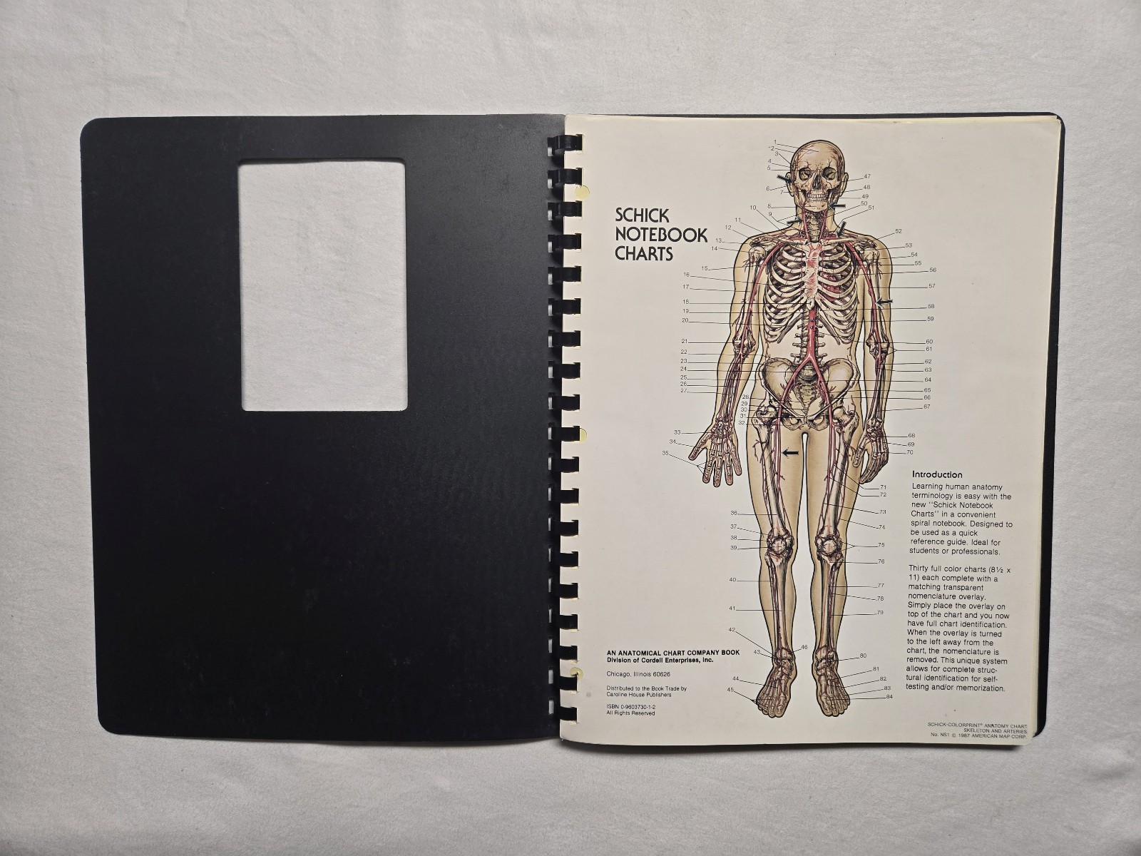 Schick Notebook Charts Human Anatomy Softcover Spiral Bound Book (1987)