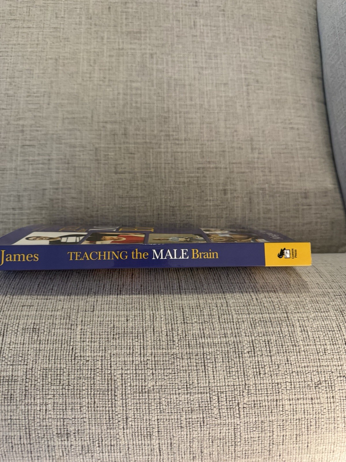 Teaching the Male Brain by Abigail Norfleet James 2007 Corwin Press Education