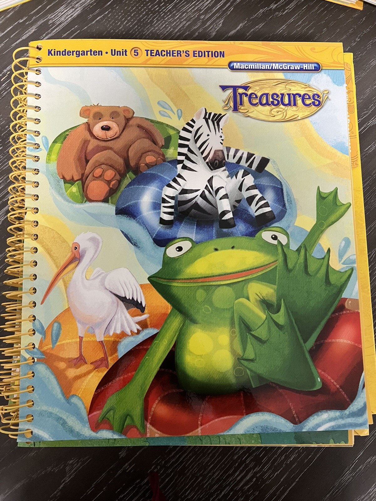Macmillan McGraw Hill Treasures Grade K Kindergarten Teacher’s Edition 1-8 & 10