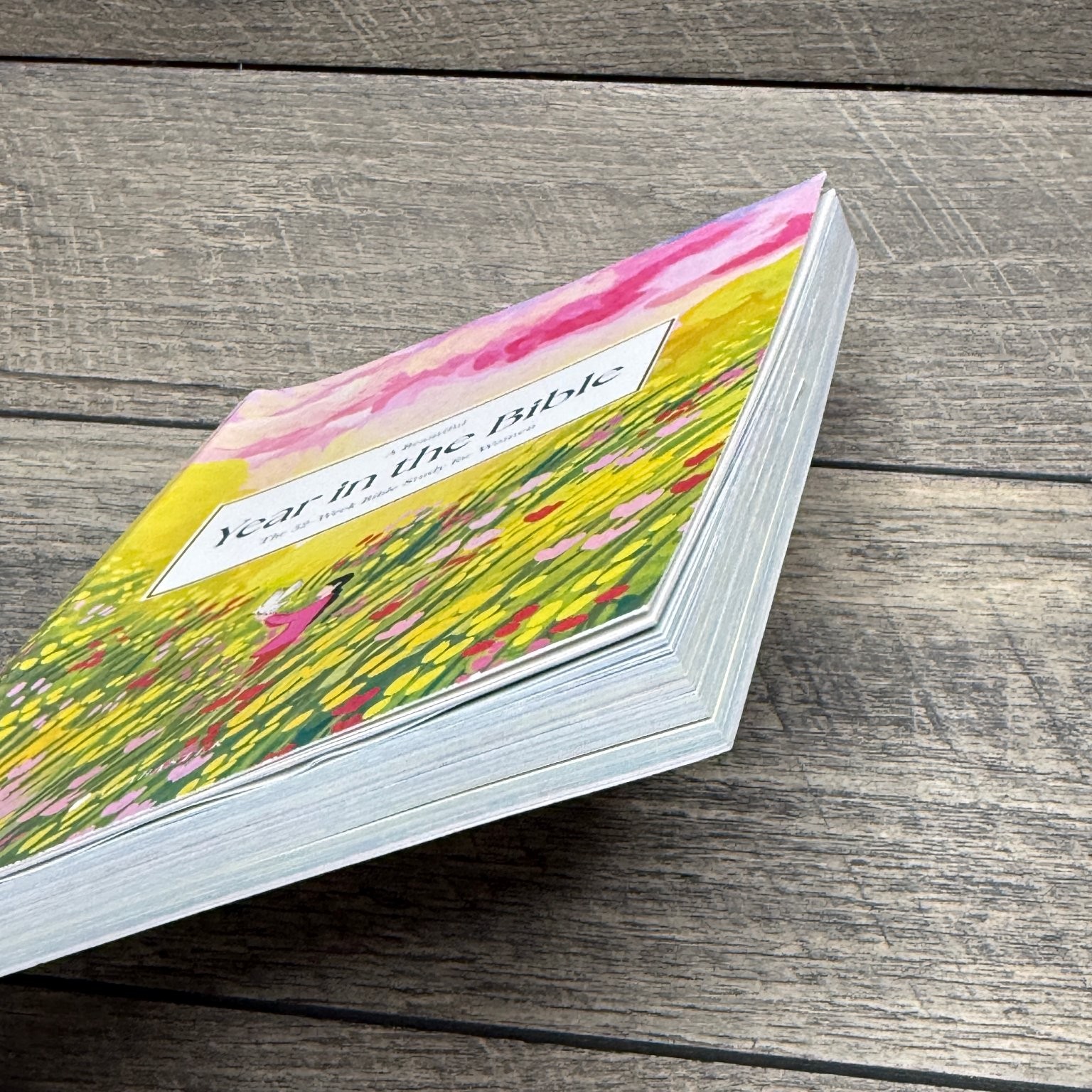 A Beautiful Year in the Bible Alabaster Creative Inc. 2024 52-Week Bible Study
