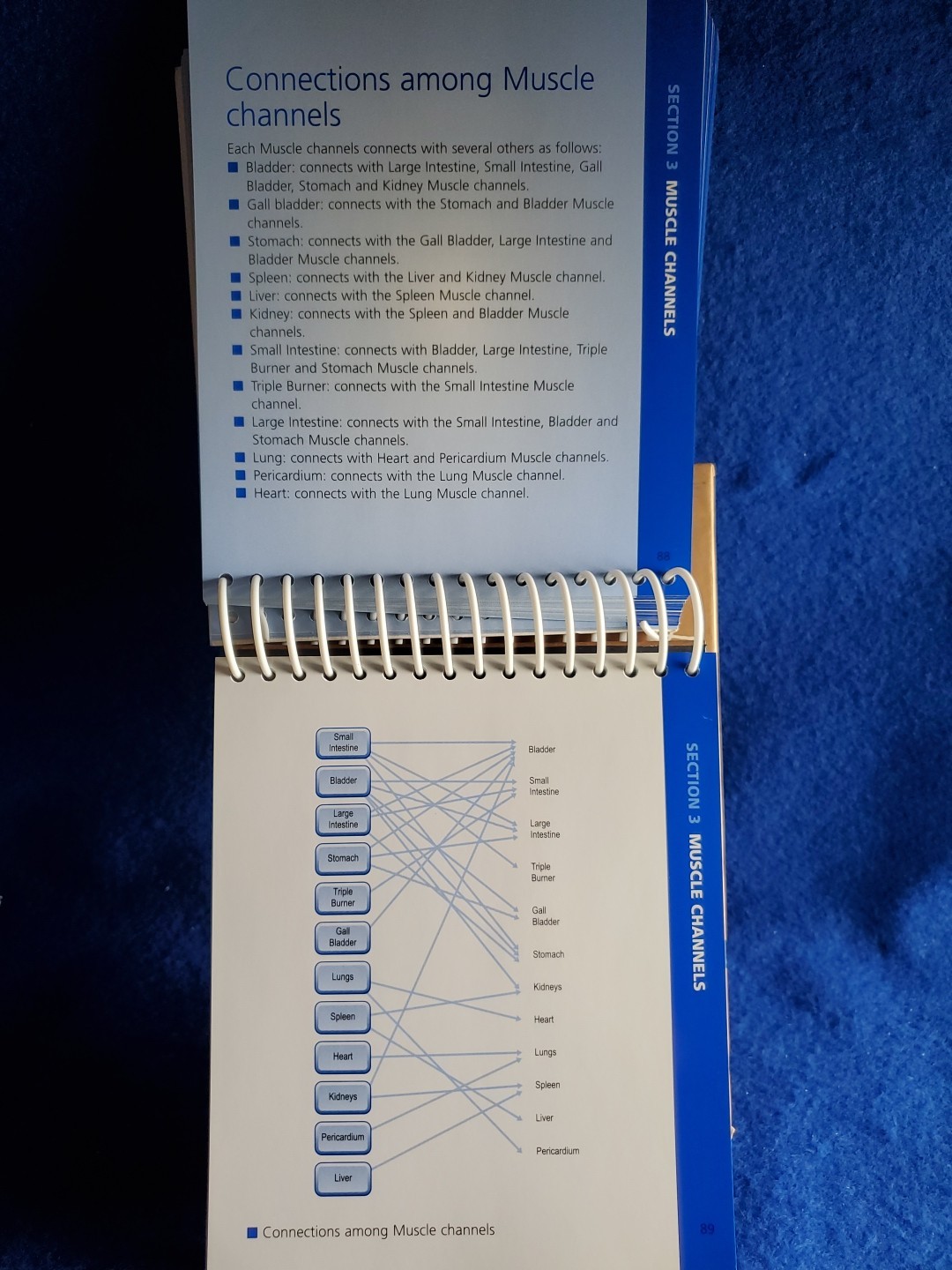 The Channels of Acupuncture Cards Giovanni Maciocia 2006 Elsevier Set
