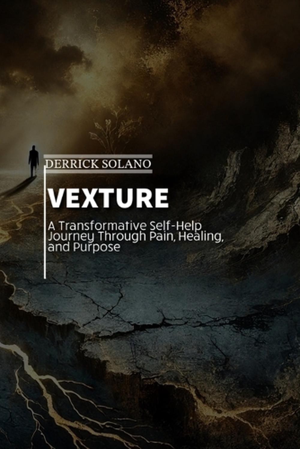 Vexture by Derrick C. Solano Paperback Book