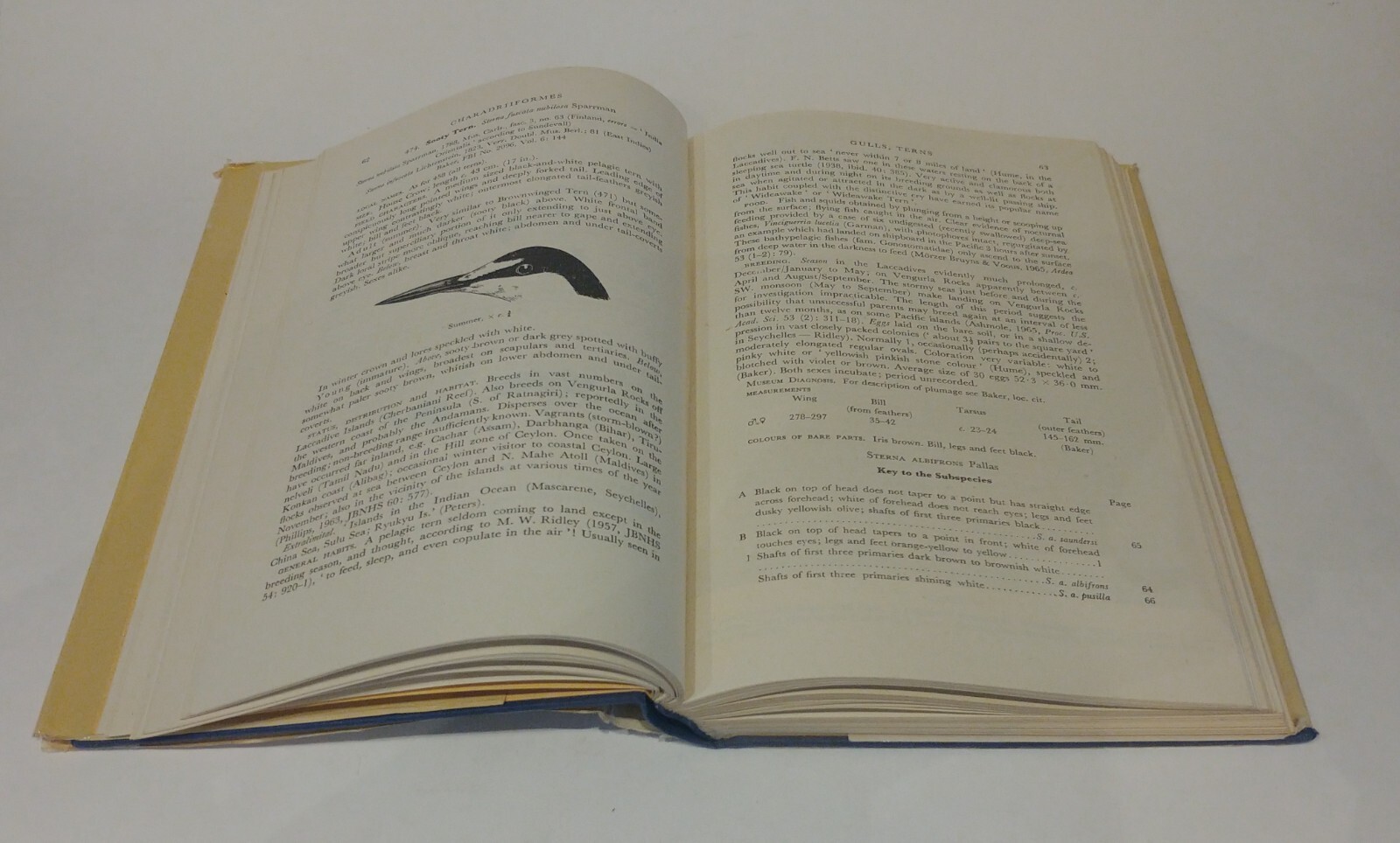 Handbook Of The Birds Of India And Pakistan Second Edition Vol. 3 HC