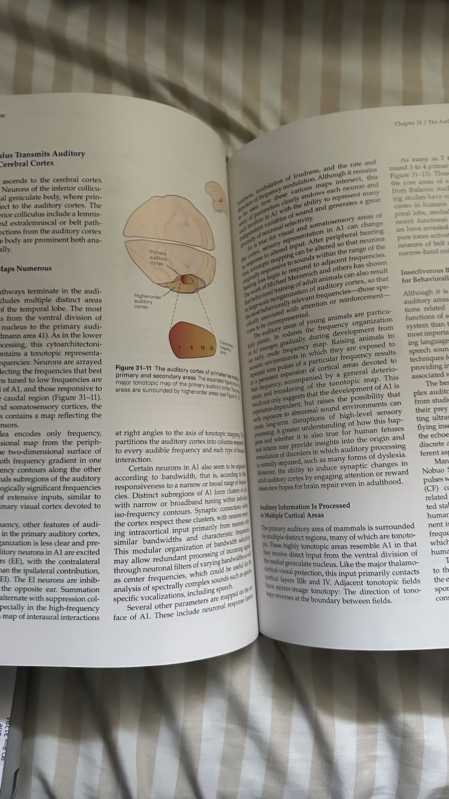 Principles of Neural Science 5th Ed Hardcover 2013 McGraw-Hill Kandel