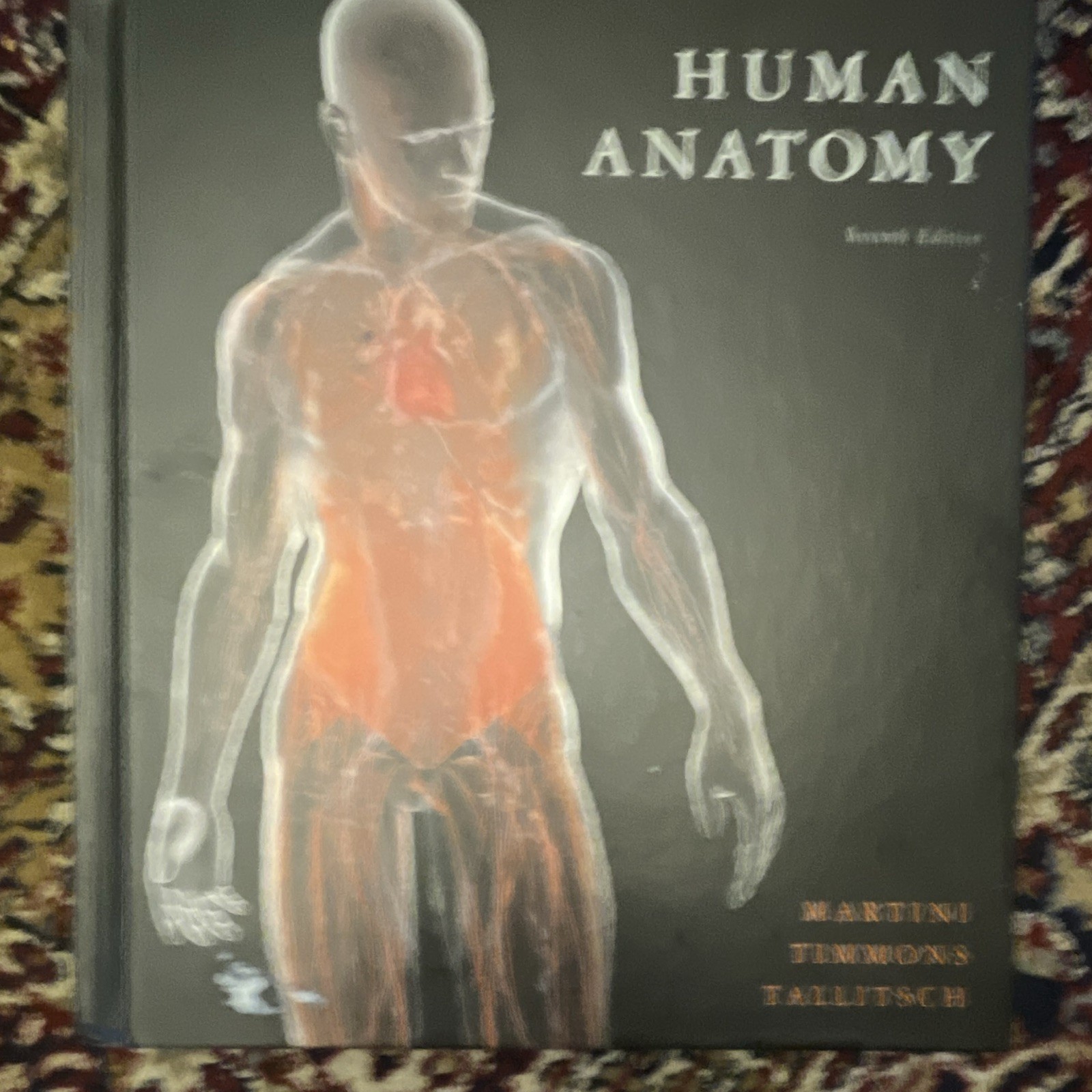 Human Anatomy Seventh Edition Martini Timmons Tallitsch Hardcover