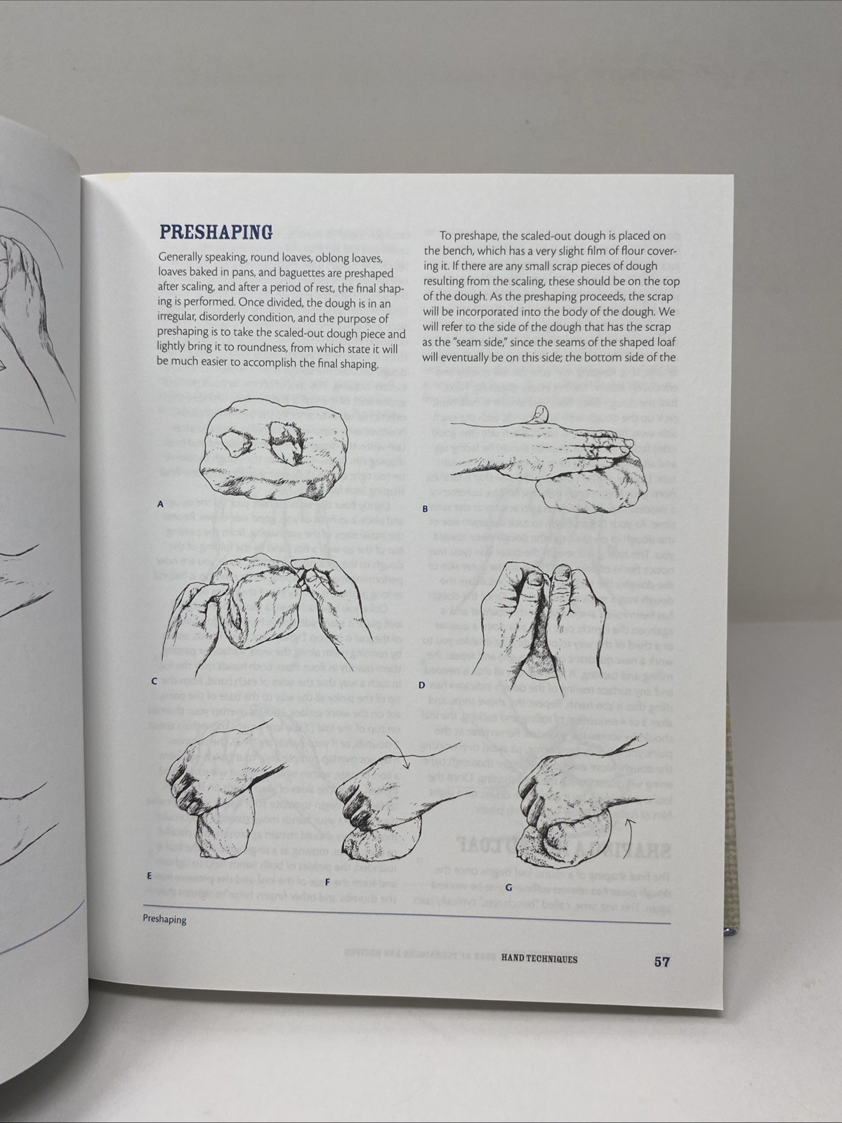 Bread : A Baker’s Book of Techniques and Recipes by Jeffrey Hamelman (2013)