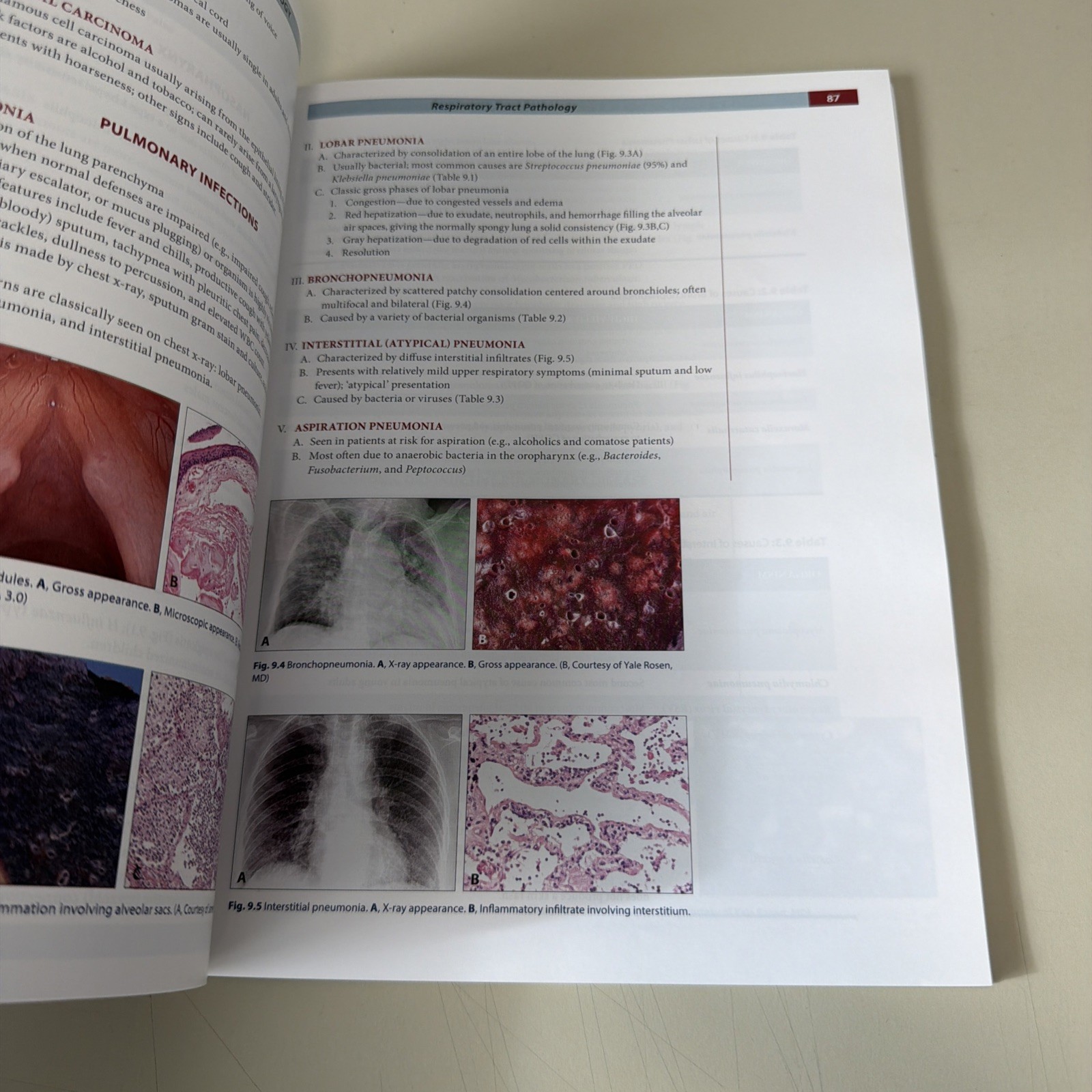 Fundamentals of Pathology by Hussain A. Sattar (2019 Paperback)