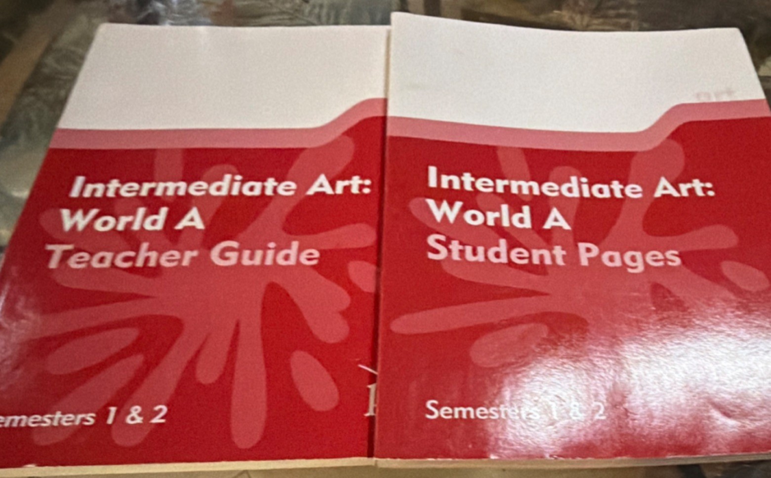 Intermediate Art: World A Teacher Guide & Student Pages Semesters 1 & 2 Book