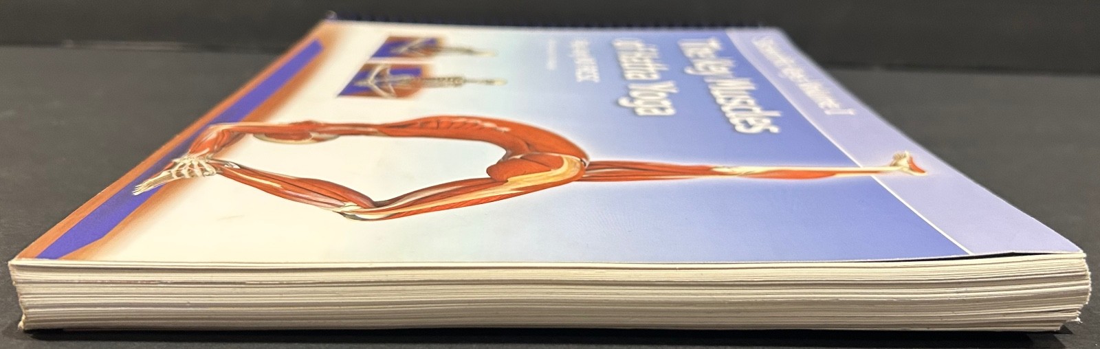 The Key Muscles of Hatha Yoga (Scientific Keys) By Ray Long Spiral Bound GOOD