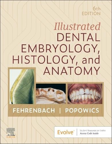 Margaret J. Fehrenbach Tr Illustrated Dental Embryology, Histology, (Paperback)