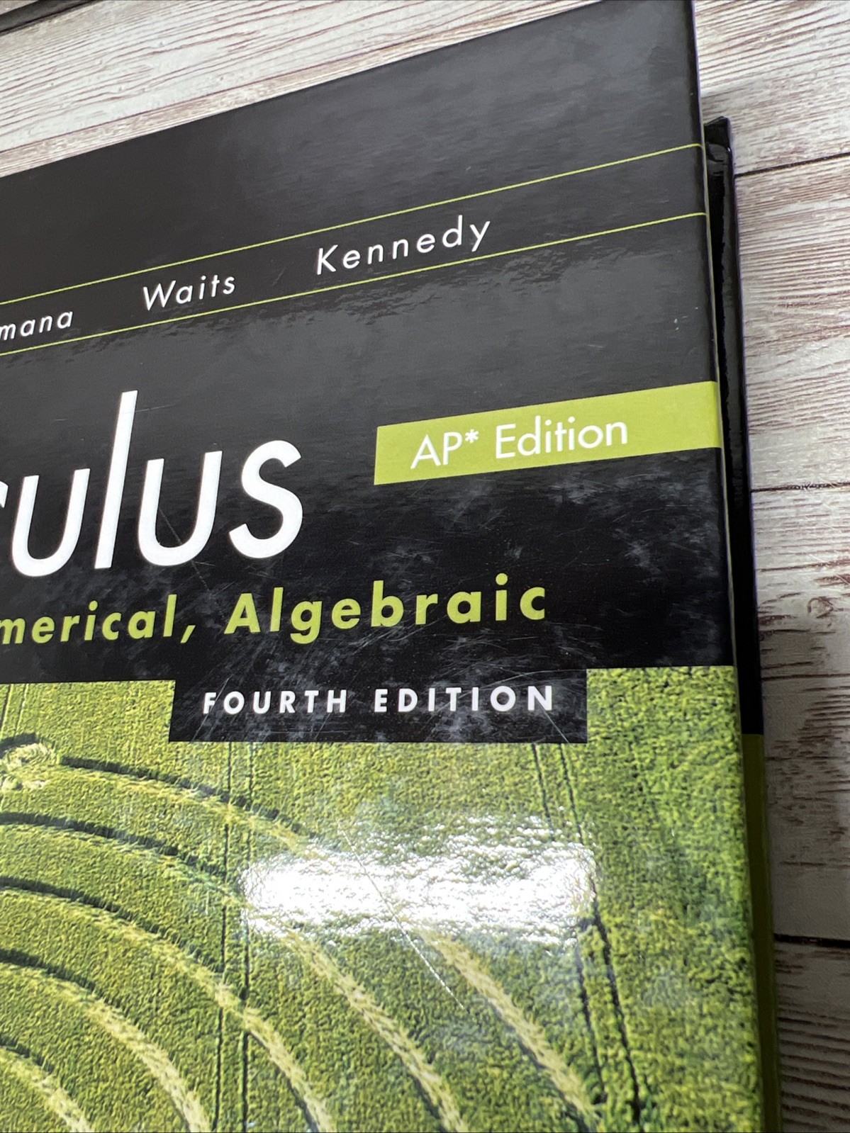 Calculus: Graphical, Numerical, Algebraic / Student 4th Edition Textbook
