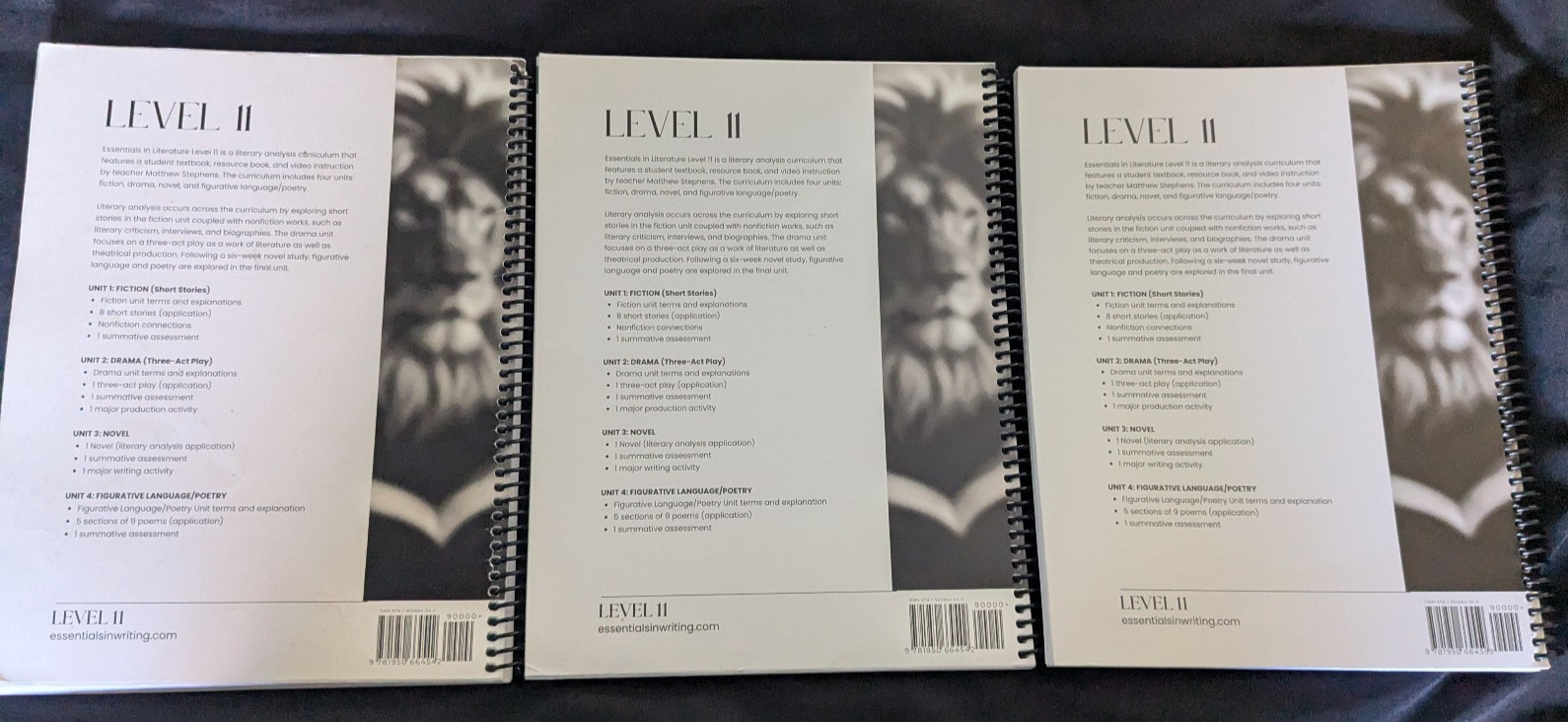 Essentials In Literature Level 11 Book ONLY 2023 update by Stephens