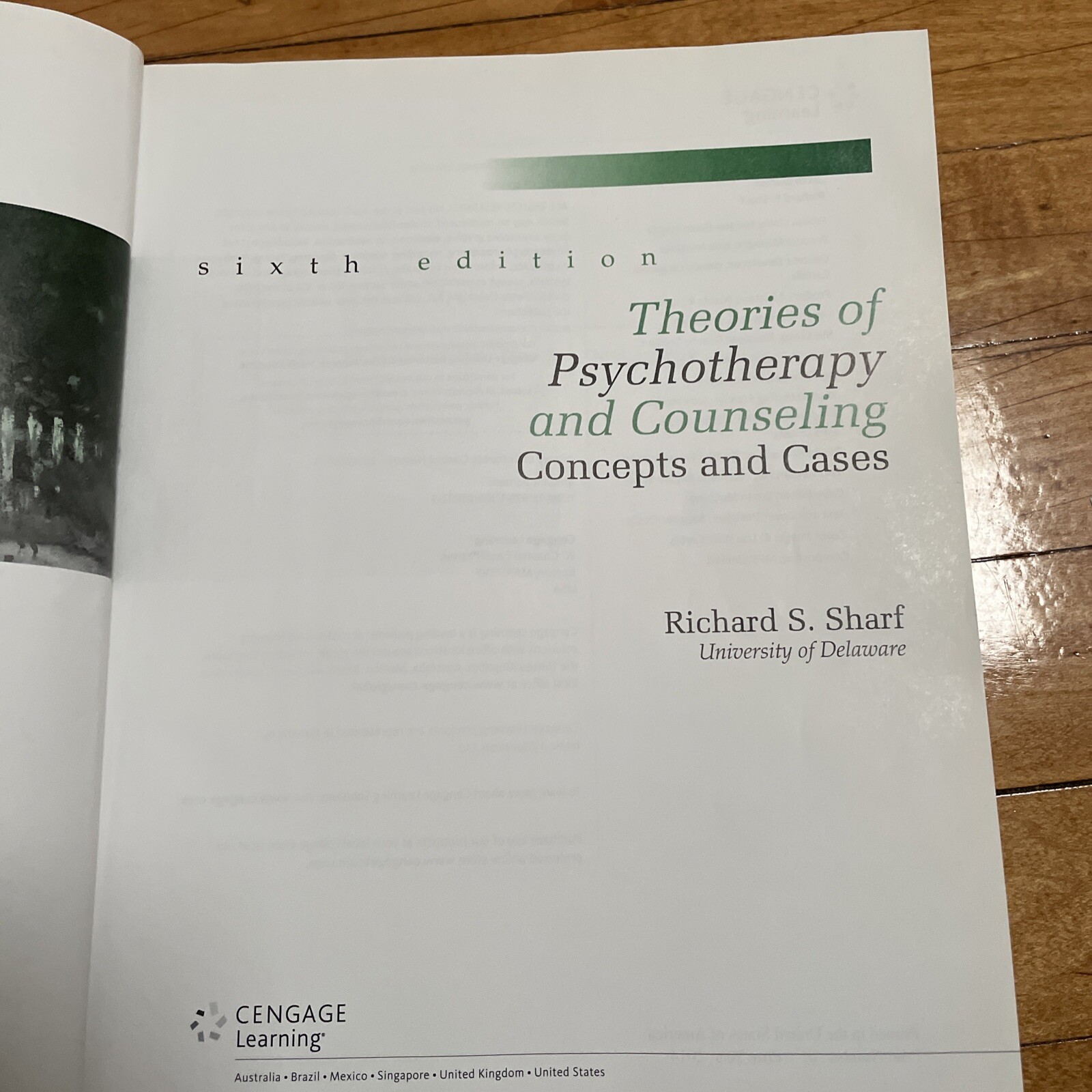 Theories of Psychotherapy & Counseling: Concepts and Cases – Hardcover – Pre-own