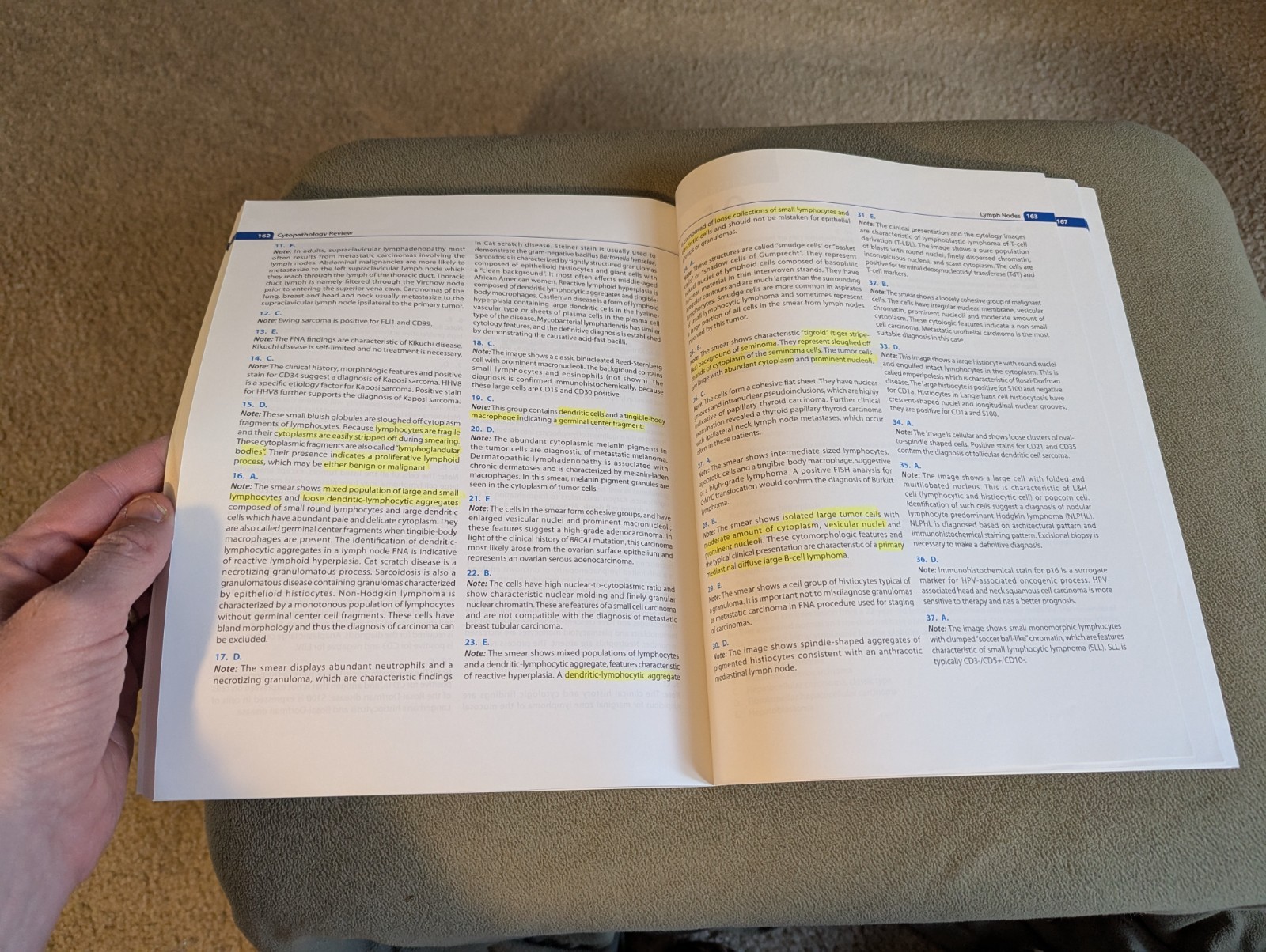 Cytopathology Review 2nd Edition by Fan, Fang, M.D. & Damjanov, Ivan, M.D.