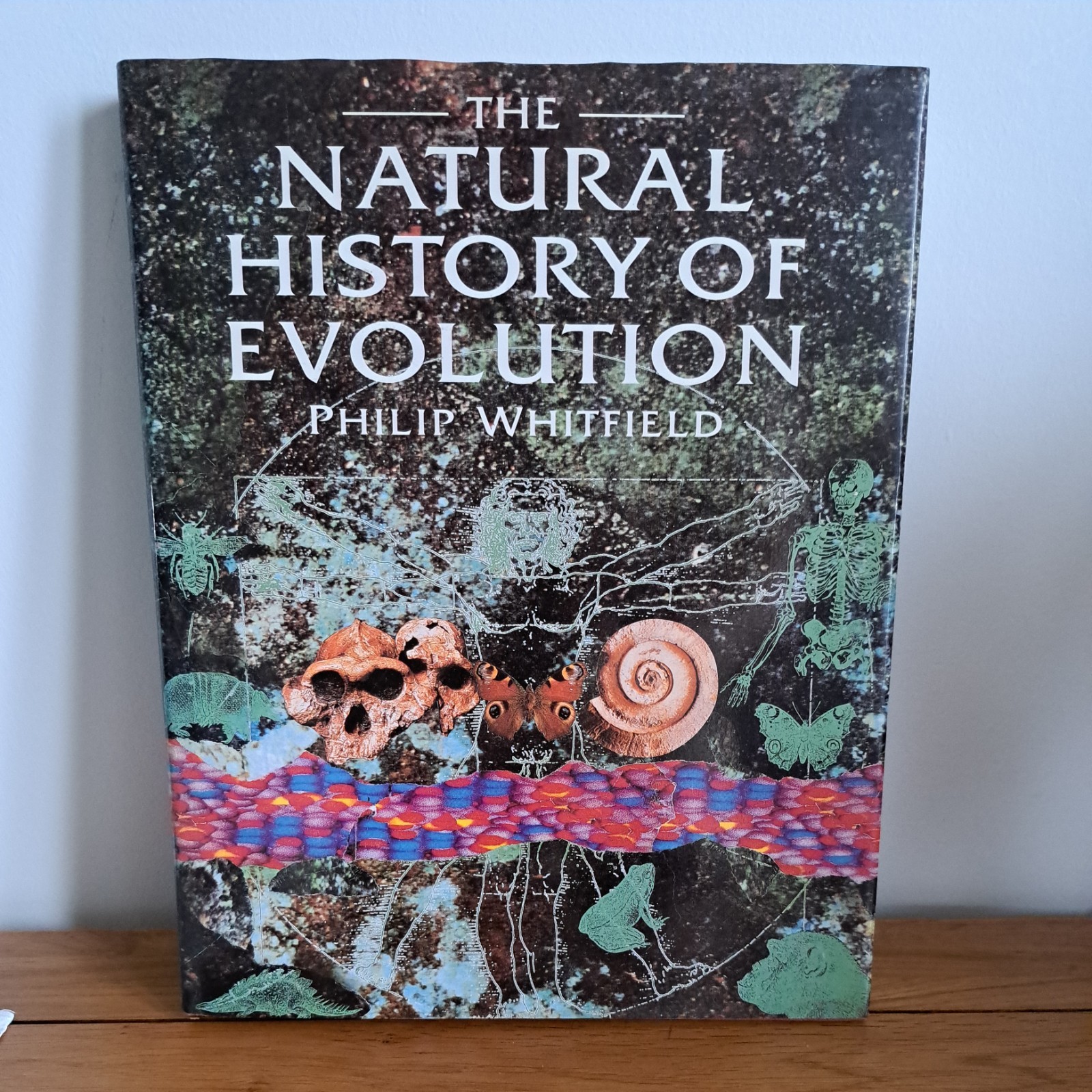 The Natural History of Evolution By Philip Whitfield
